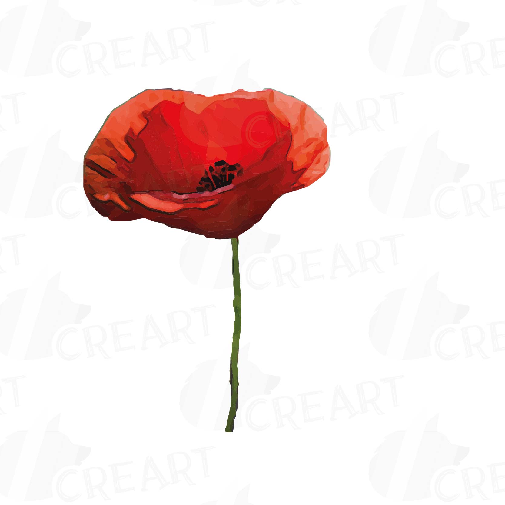 Watercolor Red Poppy flower and leaf clip art pack, Poppies clip art ...