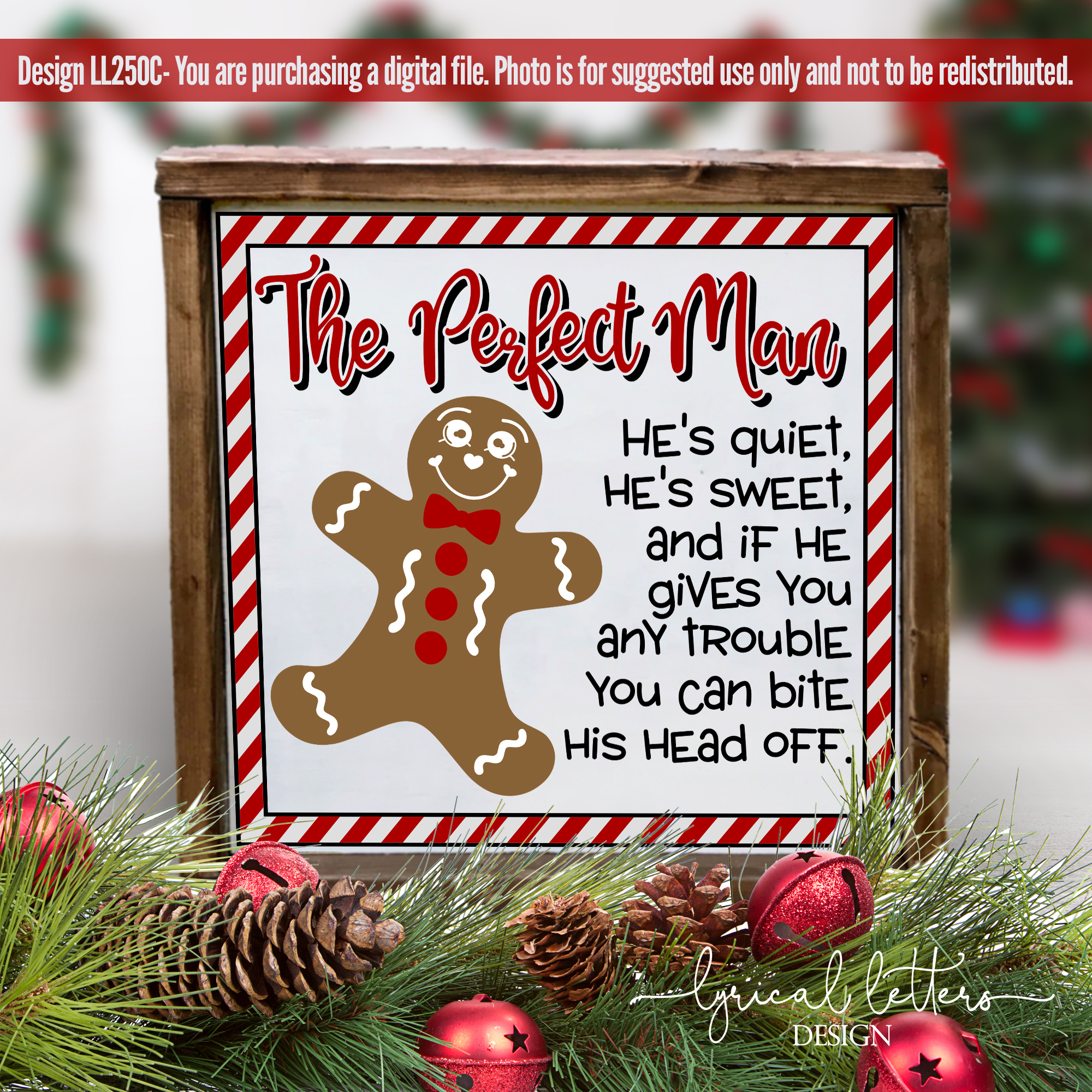 Download The Perfect Man Christmas Gingerbread SVG Cut File LL250C ...