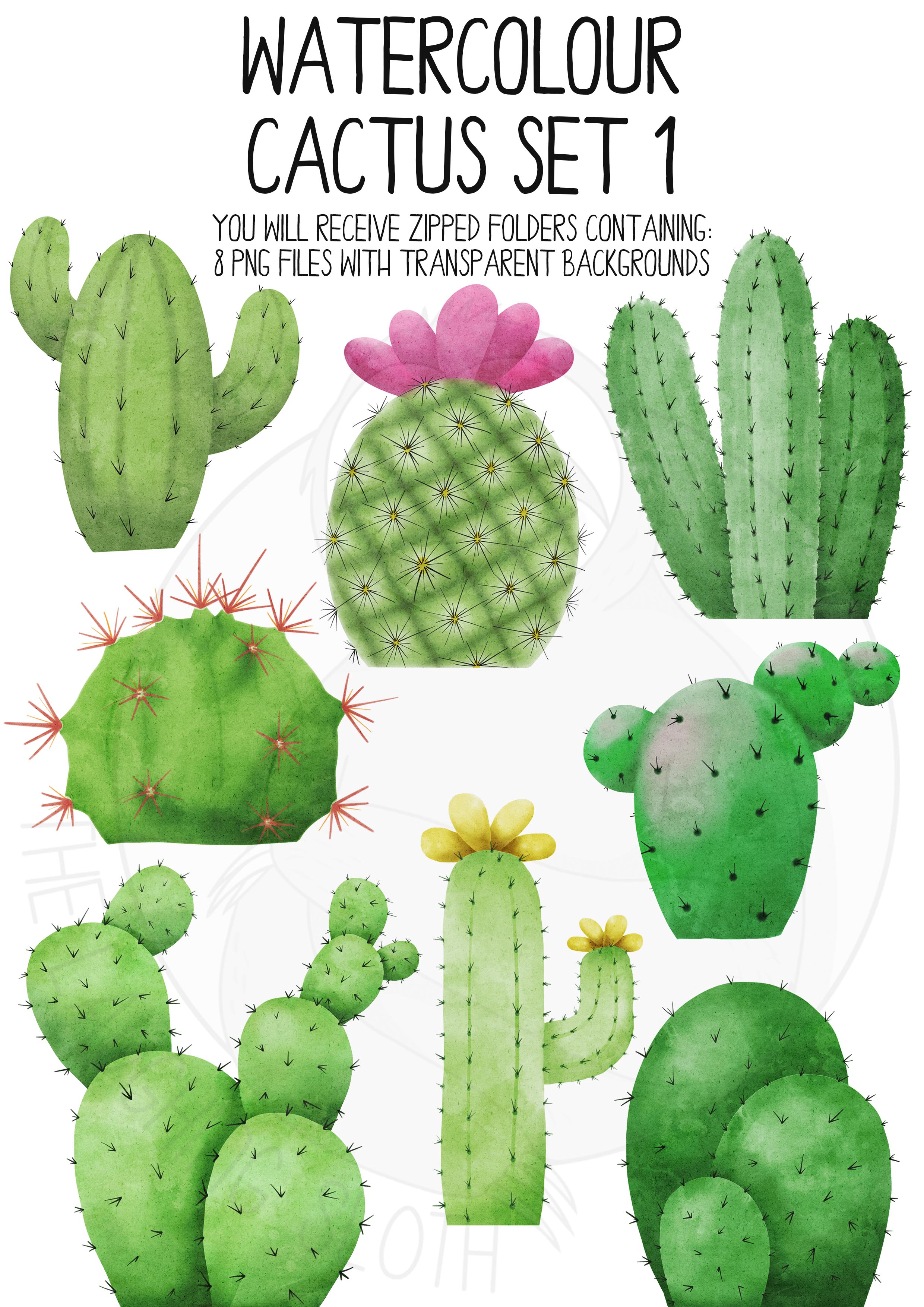 Watercolor Cactus Clip Art Set 8842