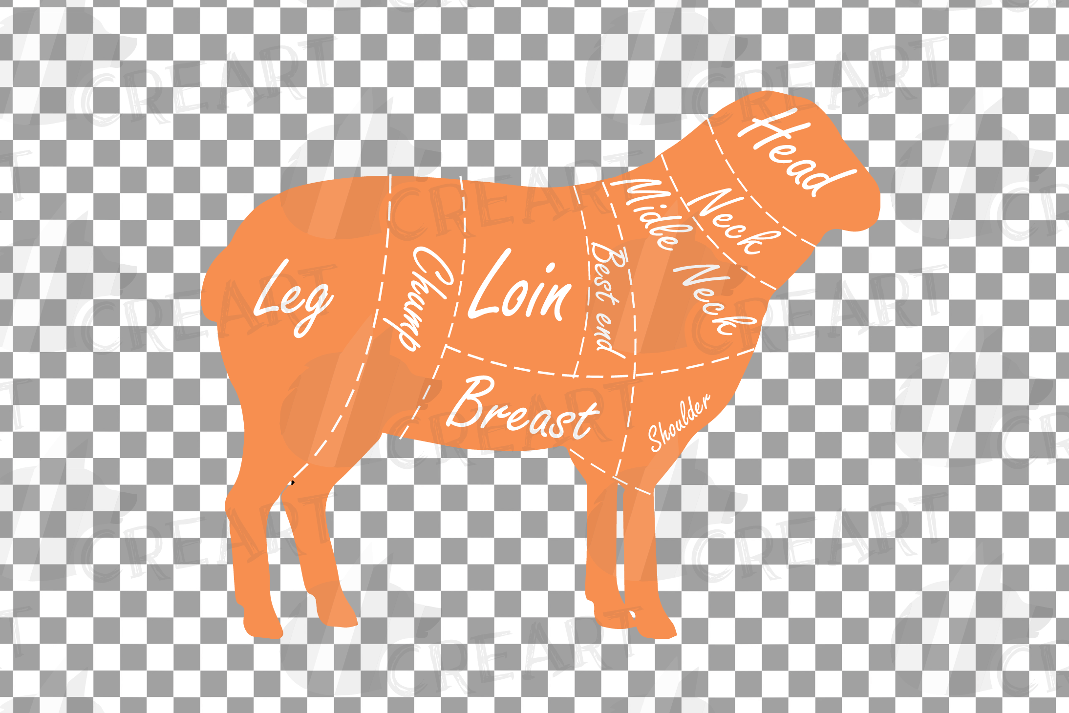 utcher lamb meat cut diagram clip art. Digital sheep chart ...