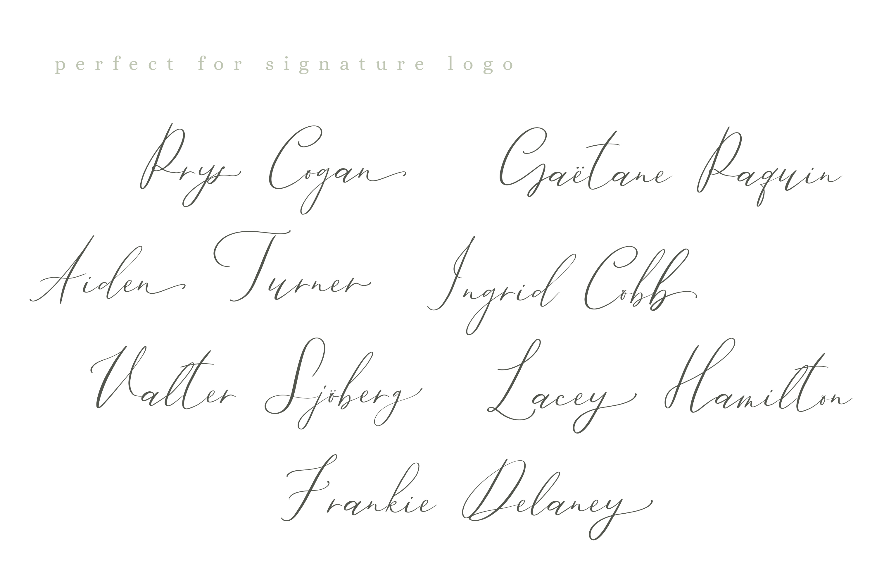 Calligraphy Elegant Script Fonts