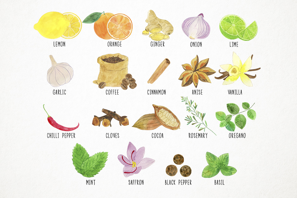 Watercolor Herbs Clipart, Spices Clipart, Herbs and Spices (260622