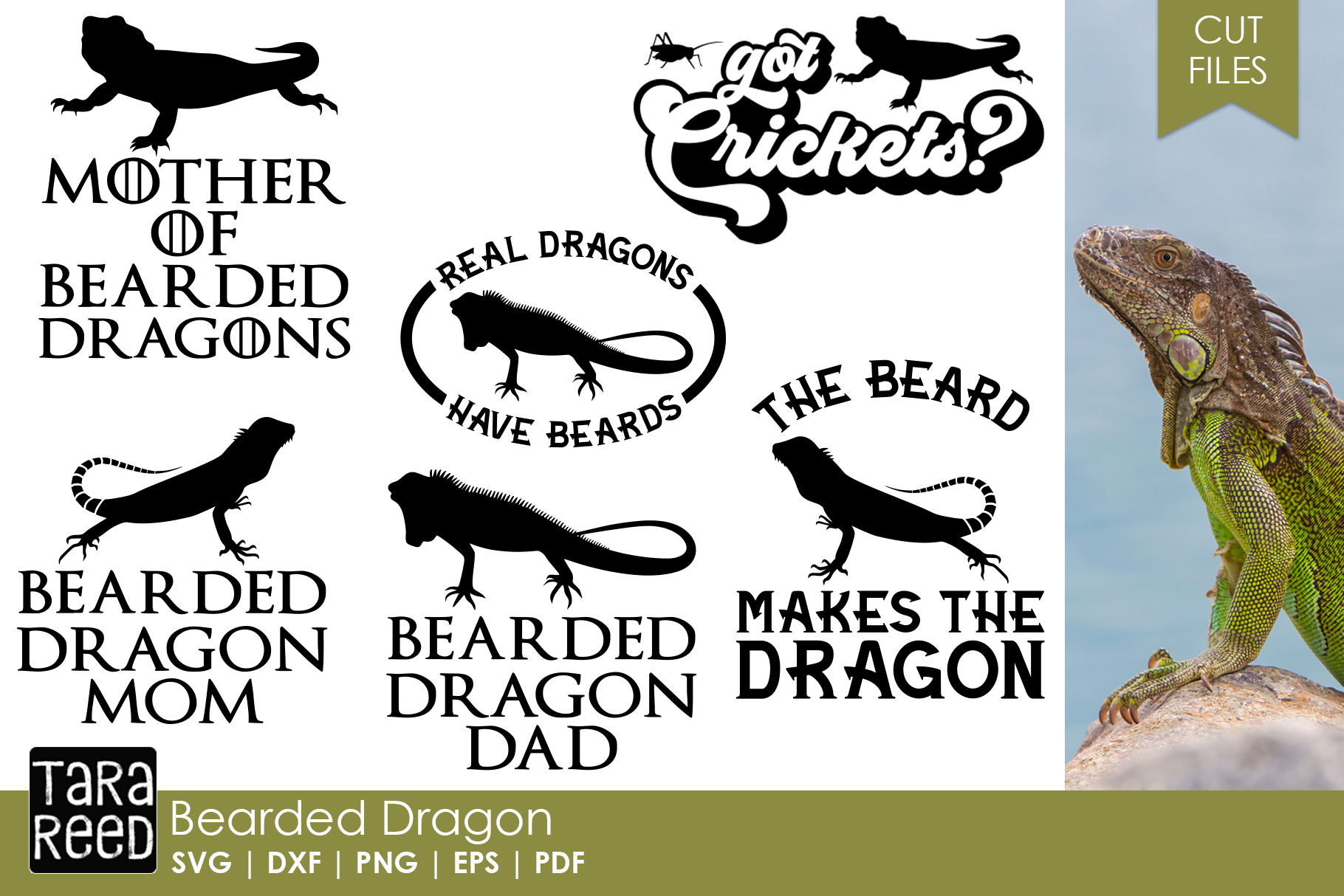 Download Bearded Dragon SVG and Cut Files for Crafters