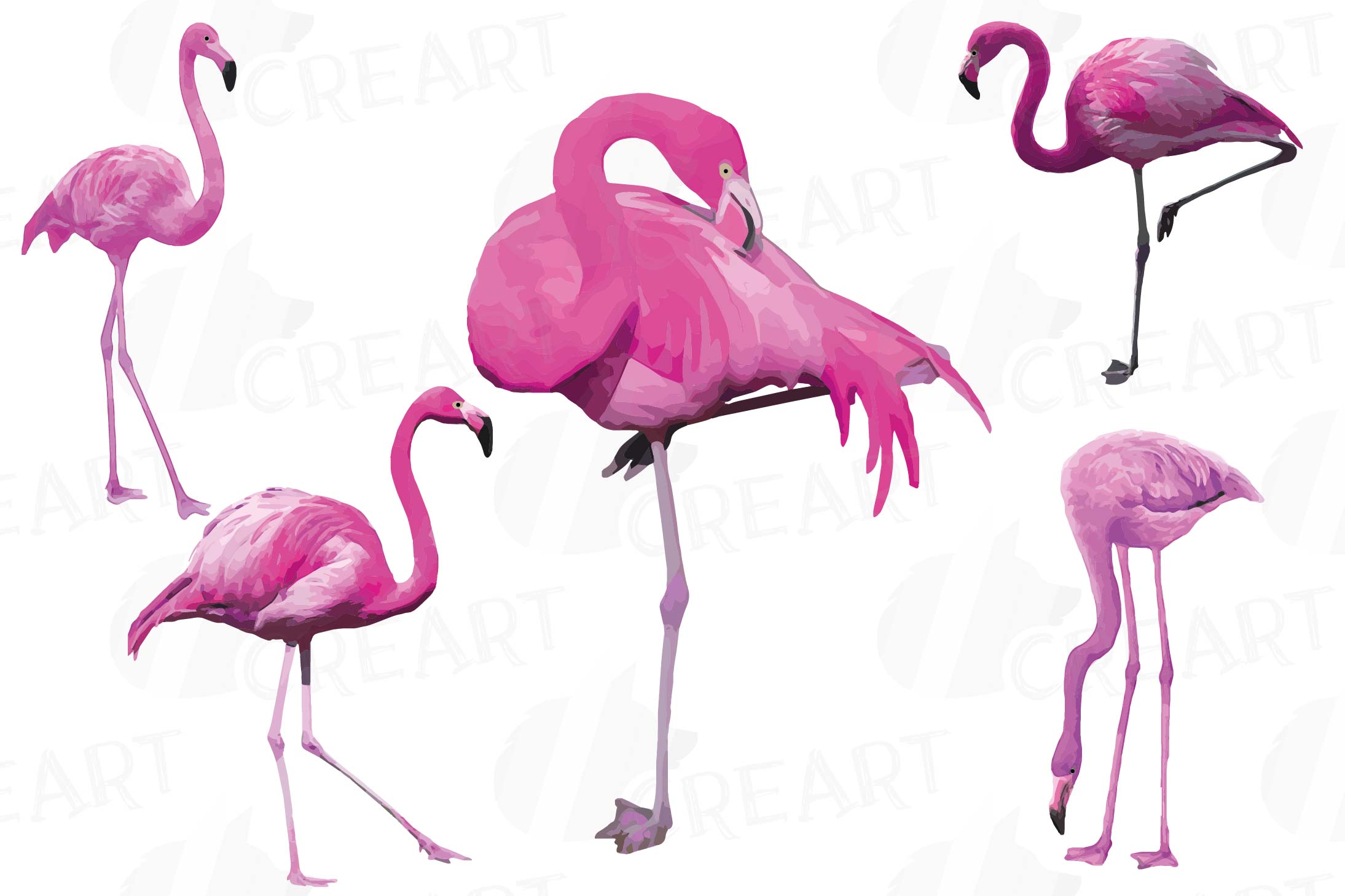 Download Watercolor Flamingos Clipart. Tropical clipart, 5 flamingo