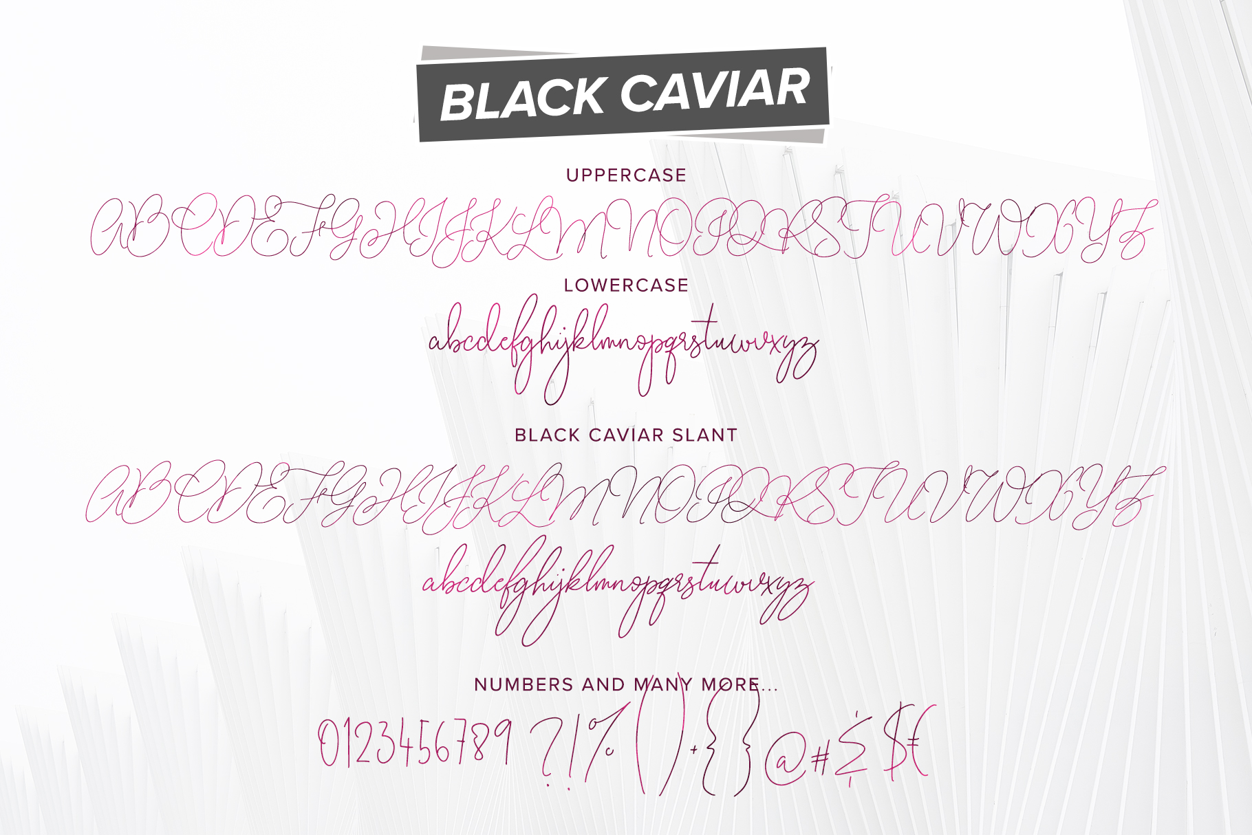Шрифт caviar dreams