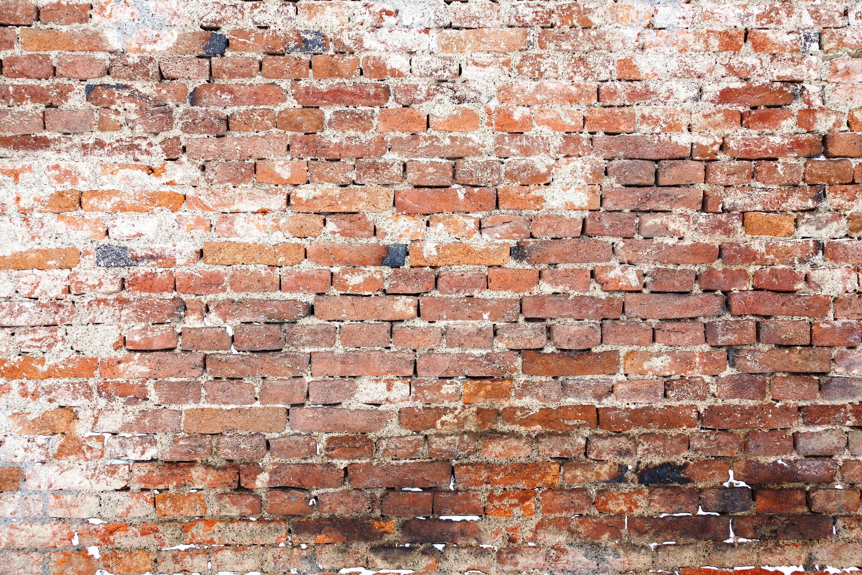 200 Brick Wall Photoshop Overlays Backdrops Backgrounds