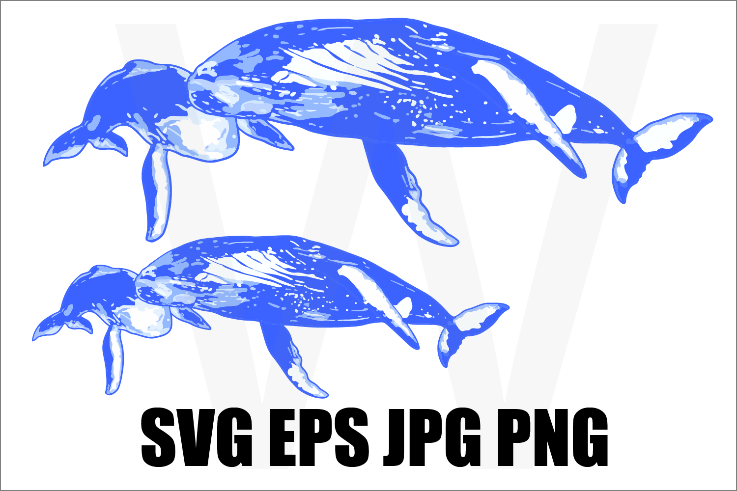Free Free 345 Baby Whale Svg SVG PNG EPS DXF File