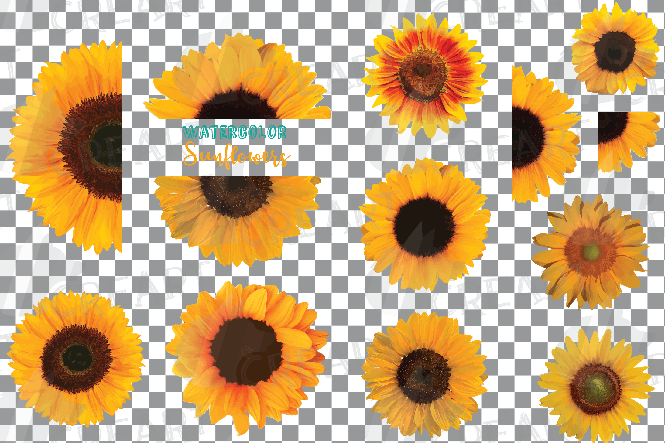 Download Vector sunflower wedding design elements. Floral decor png.