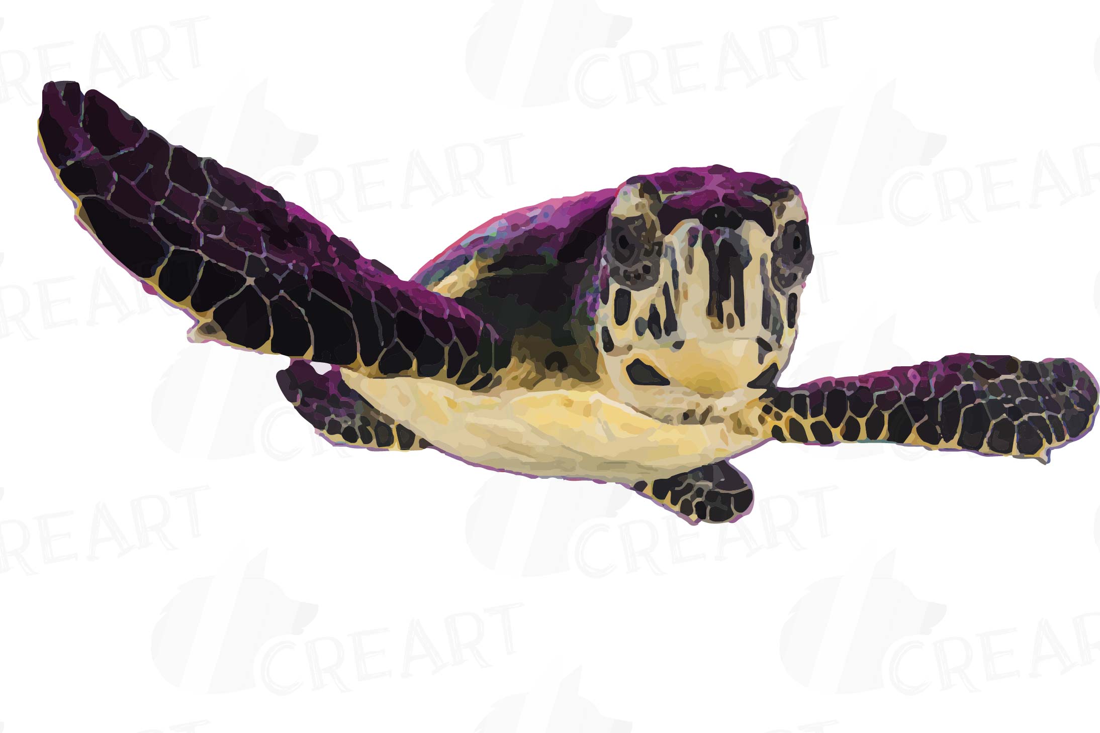 Watercolor sea turtles clip art pack, colorful turtles