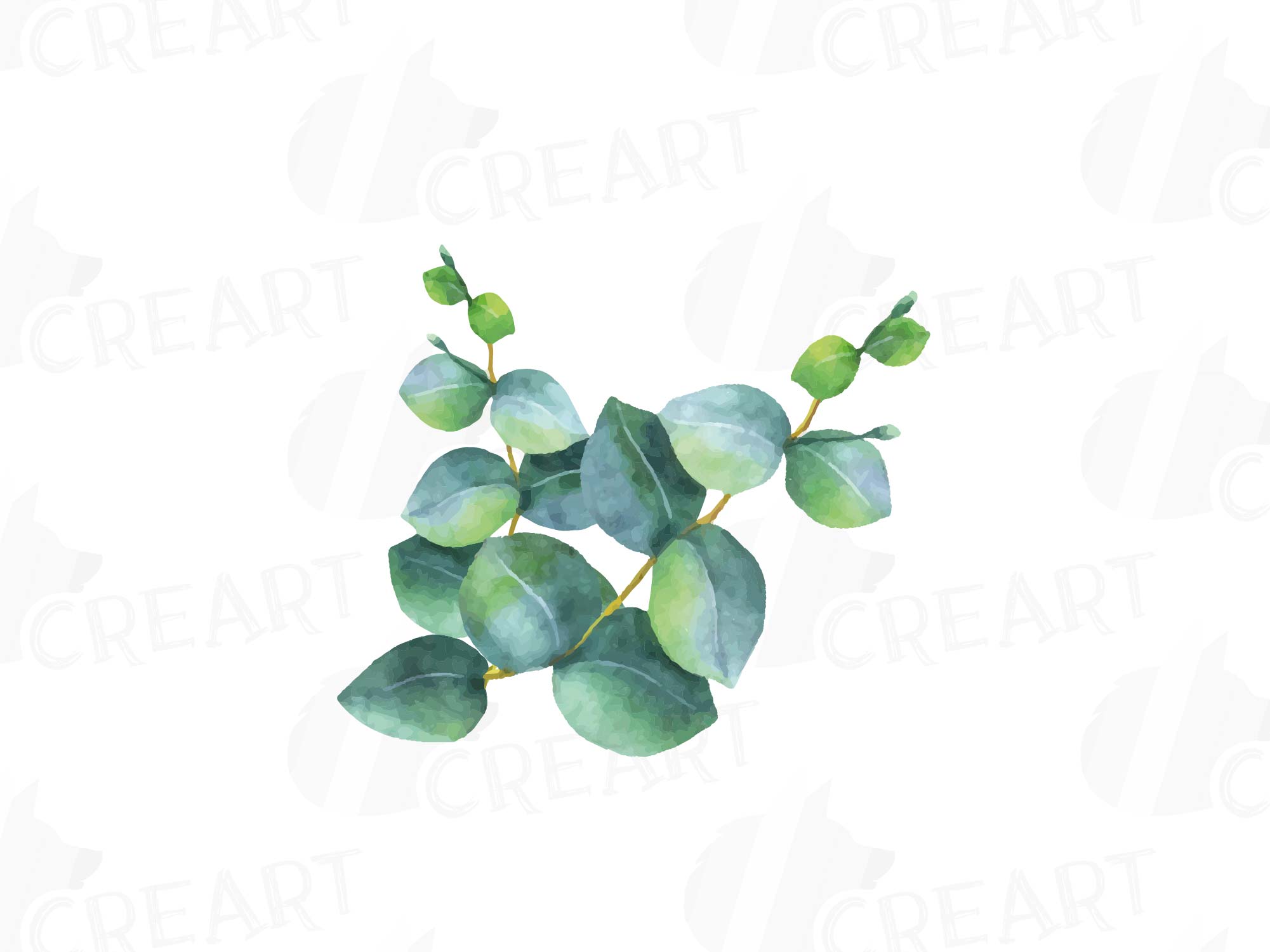 Download Eucalyptus leaves and branches watercolor clip art pack ...