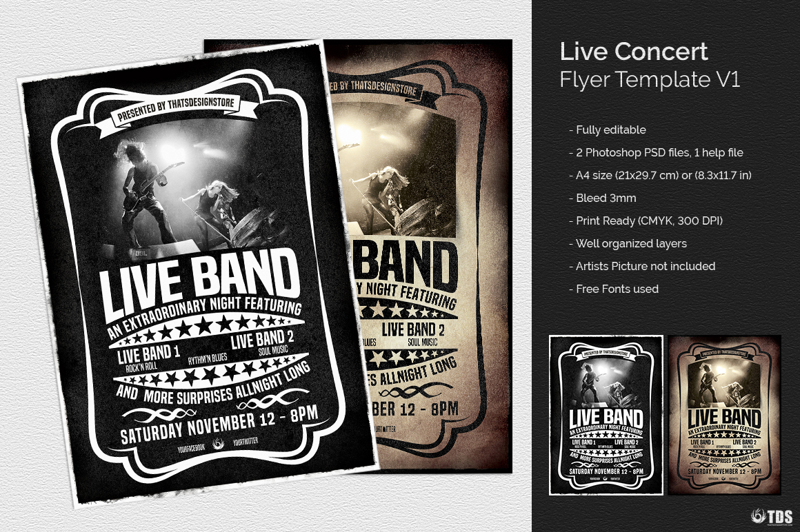 Live Concert Flyer Template V1