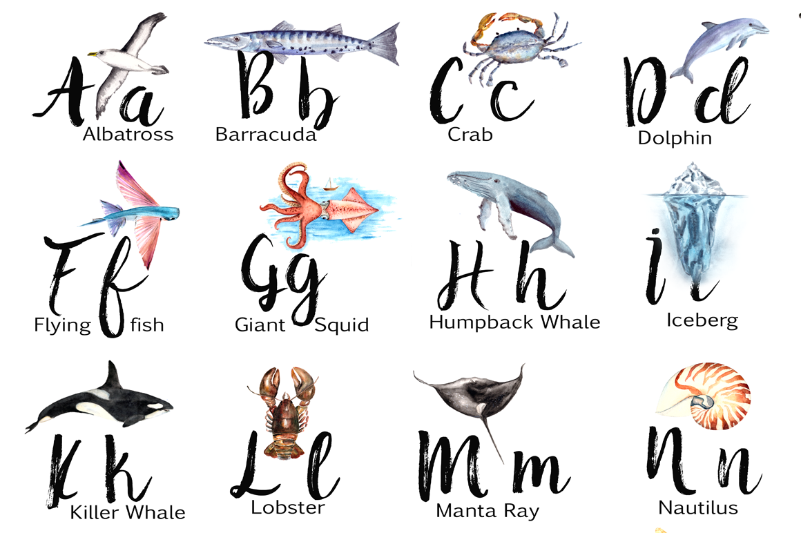 Watercolor Ocean Alphabet Poster