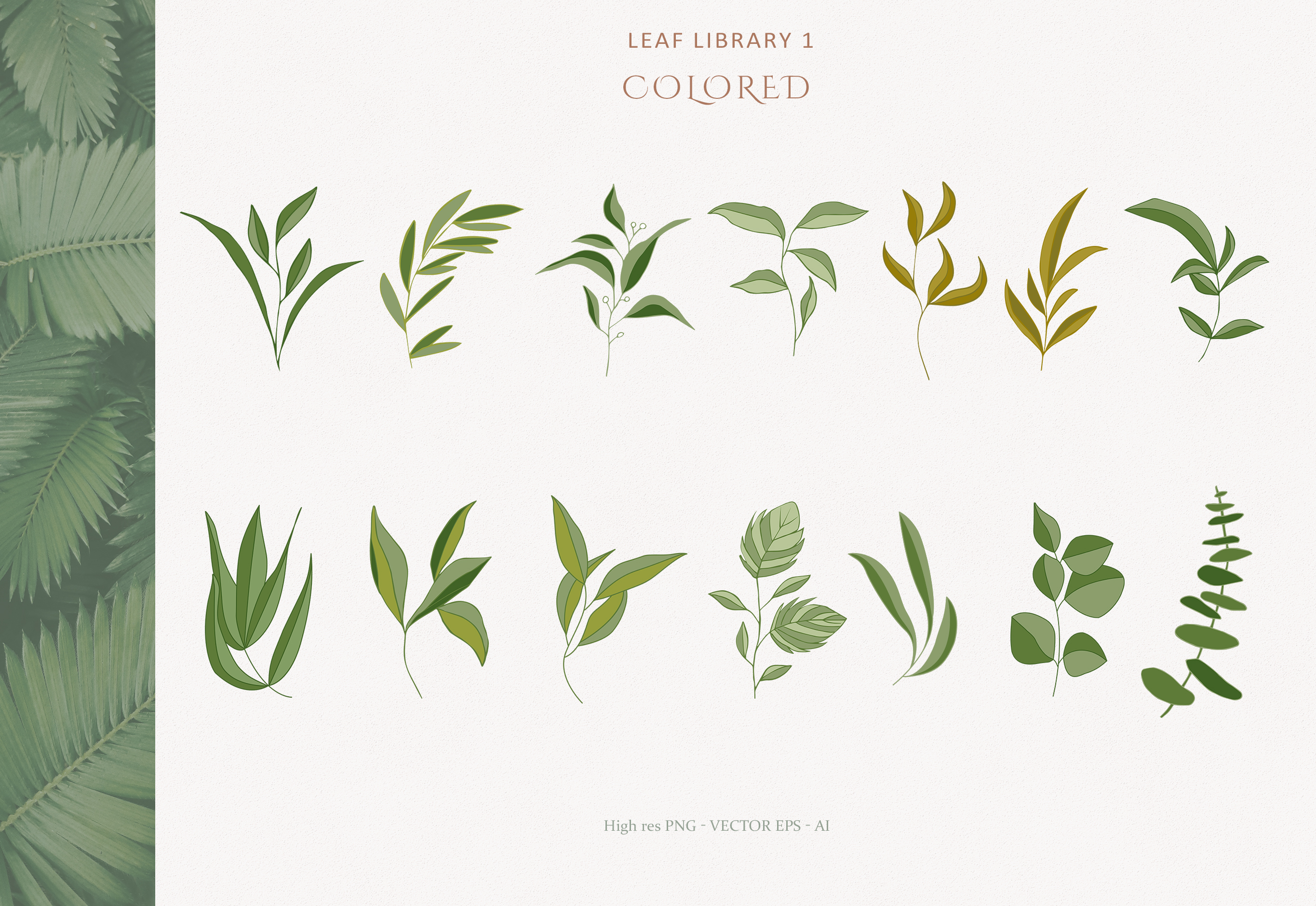 Greenery Leaves Watercolor, Line Art, Vector, Pencil Sketch