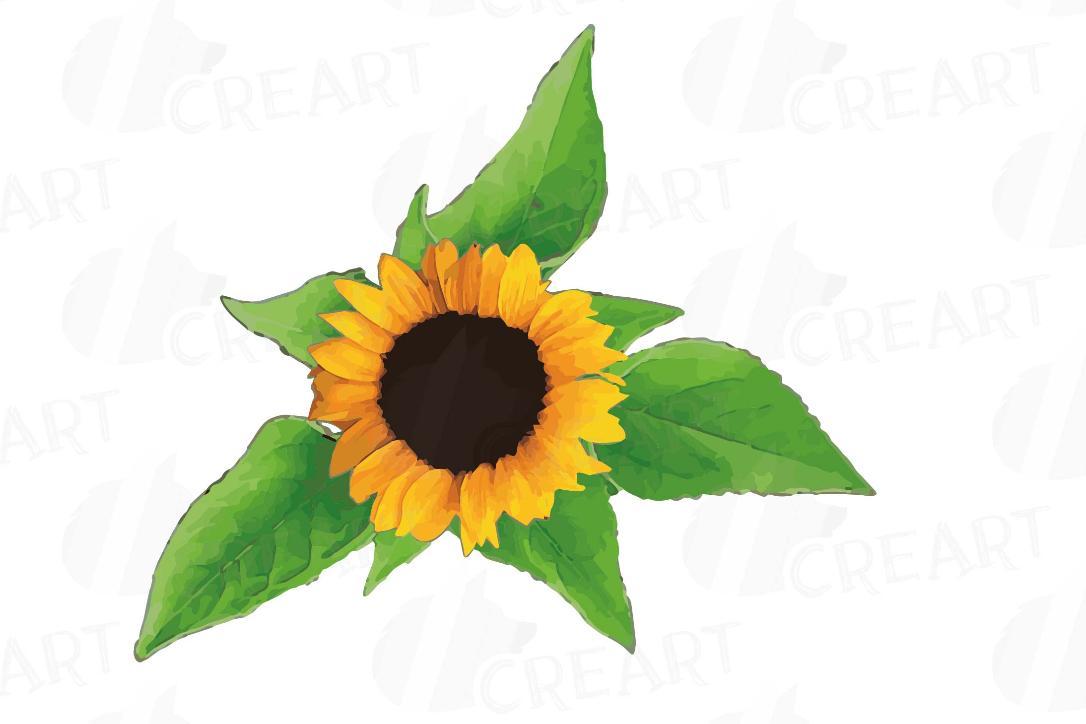 Download Sunflower watercolor clip art pack, watercolor sunflower design elements, floral PNG, jpg, svg ...