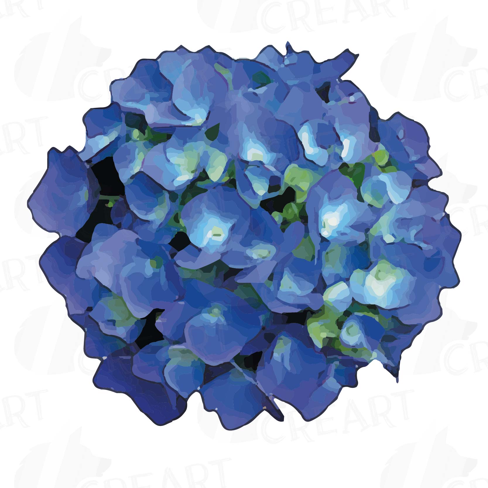 Гортензия Пнг - 69 фото