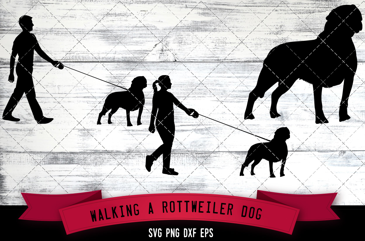 Download Walking a Rottweiler Dog Silhouette Vector (517452) | SVGs ...