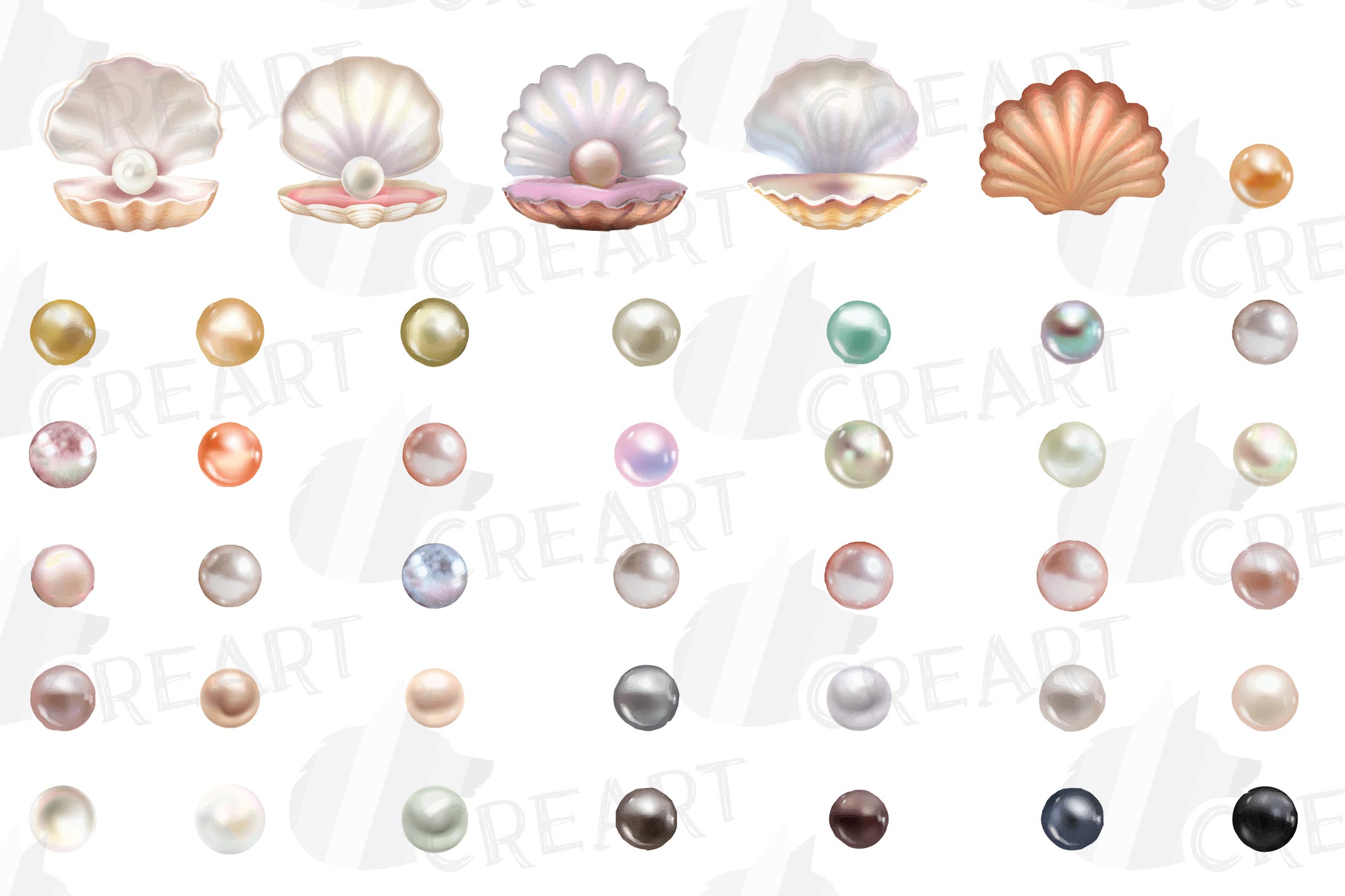 Watercolor clam shell and pearls design elements clip art. (516283 ...