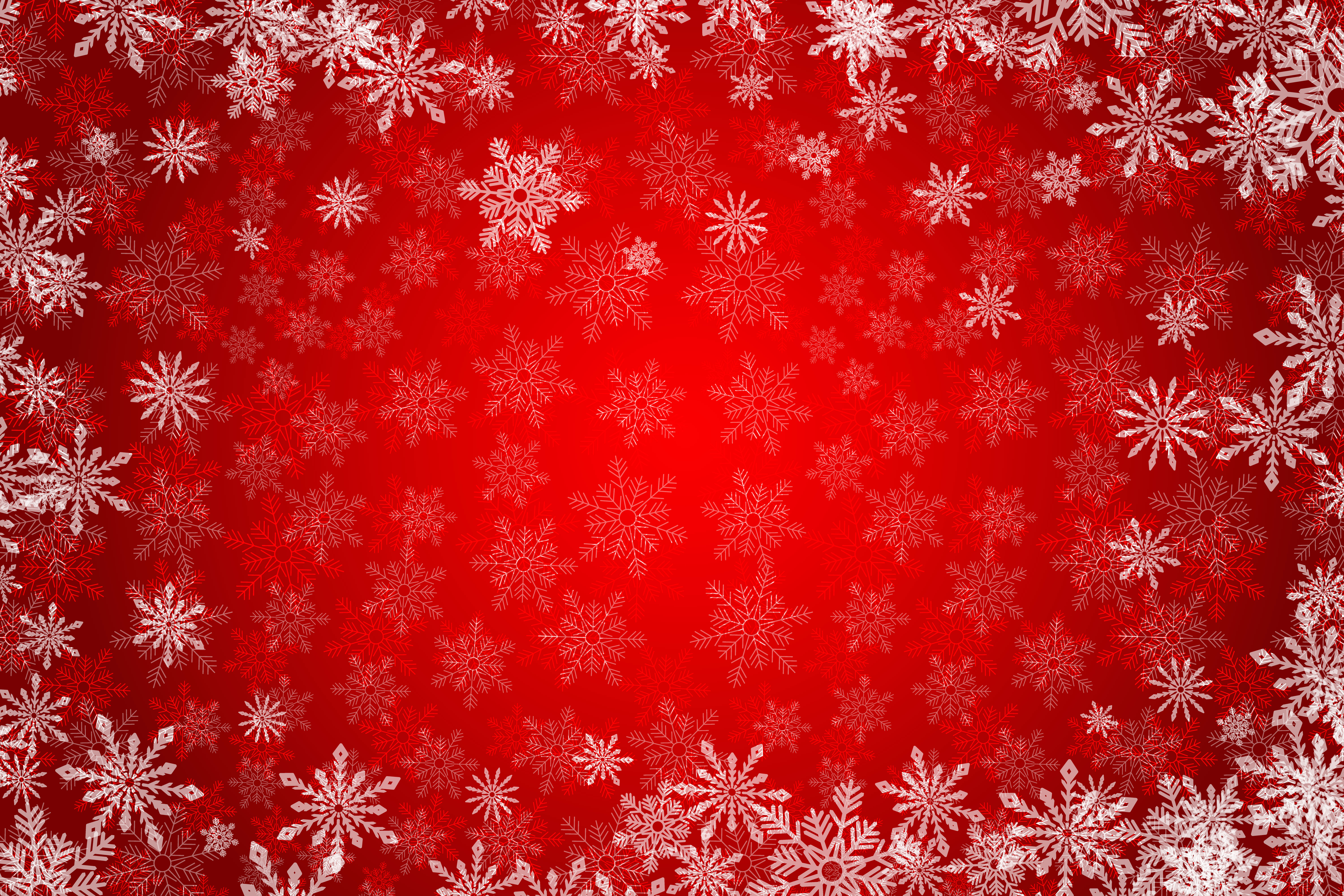 Christmas Tree With Red Background