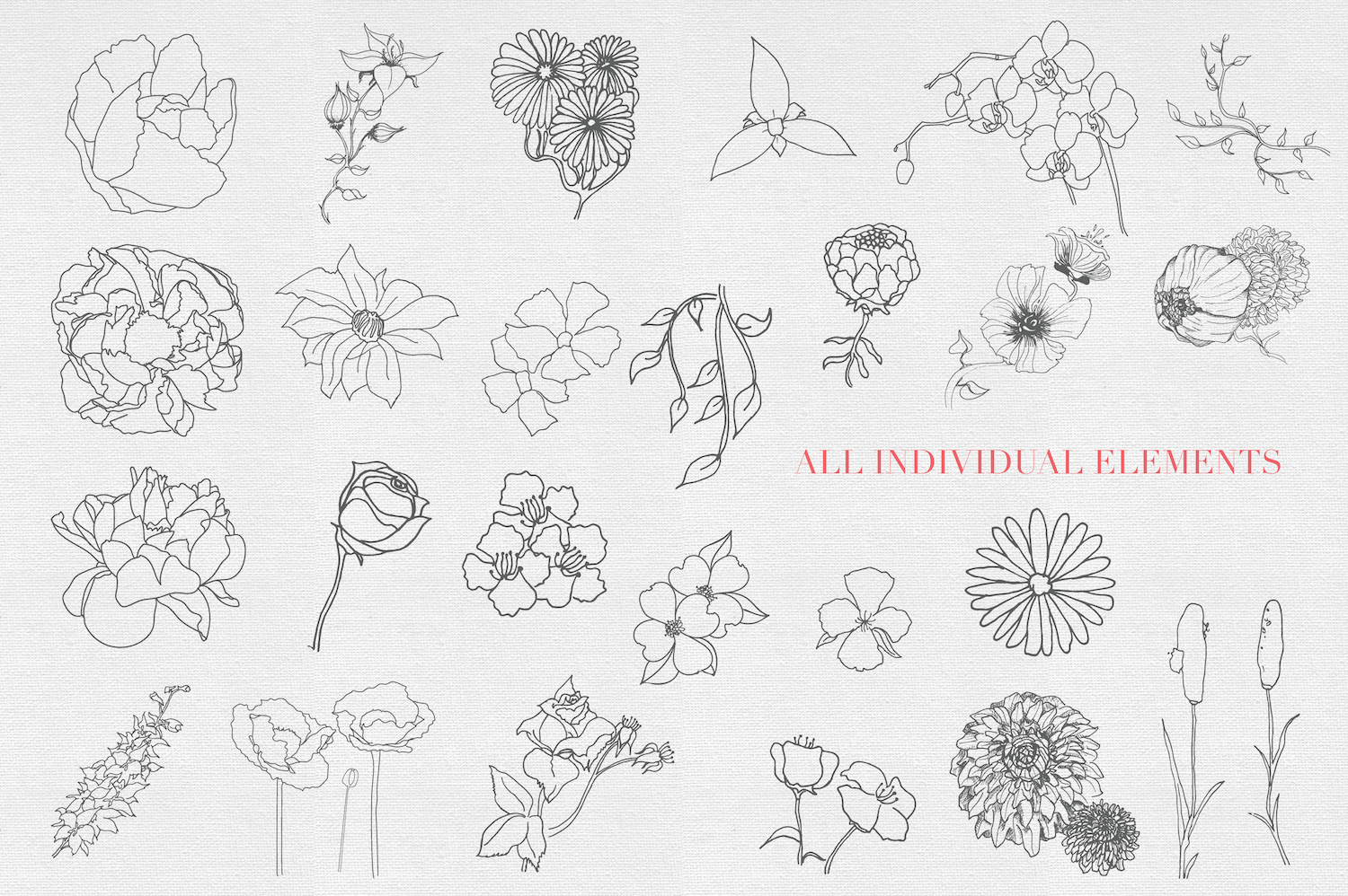 Hand drawn Sketched Flower Vectors