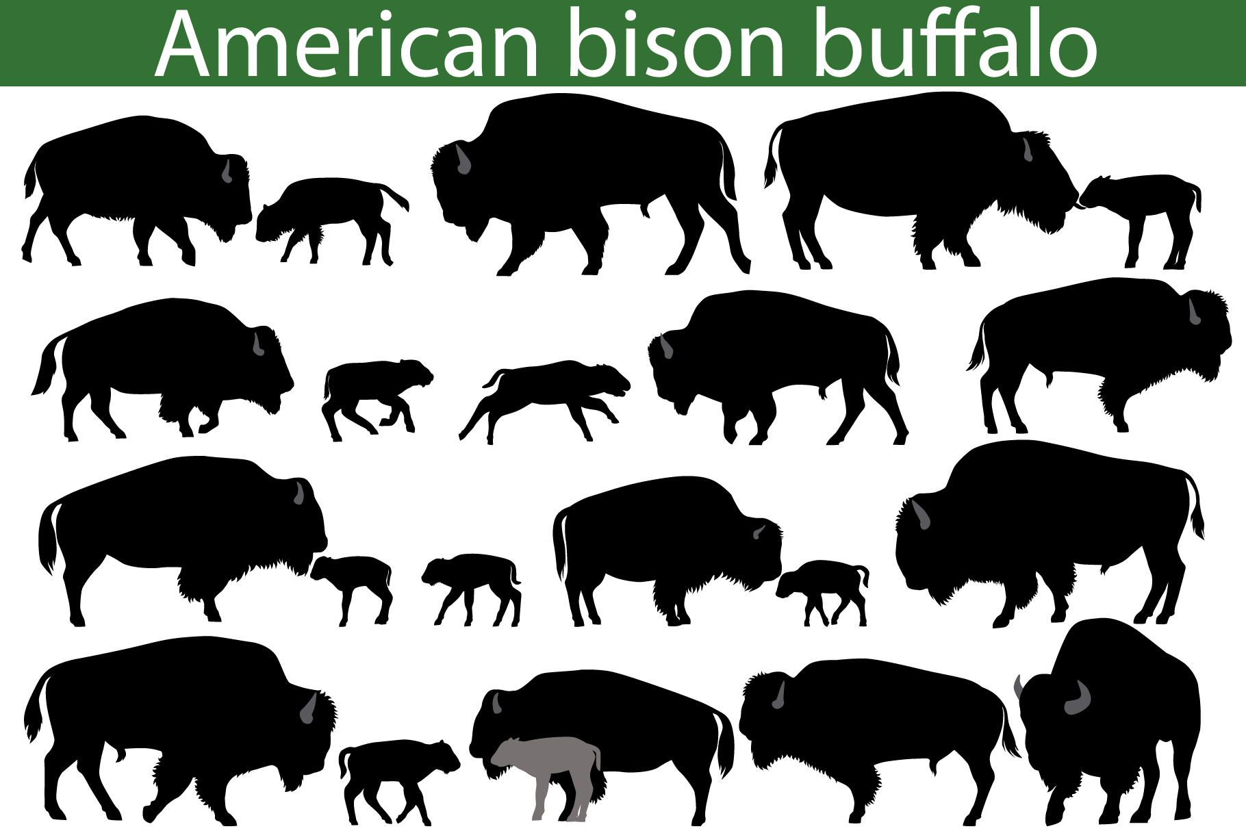 American bison buffalo silhouettes