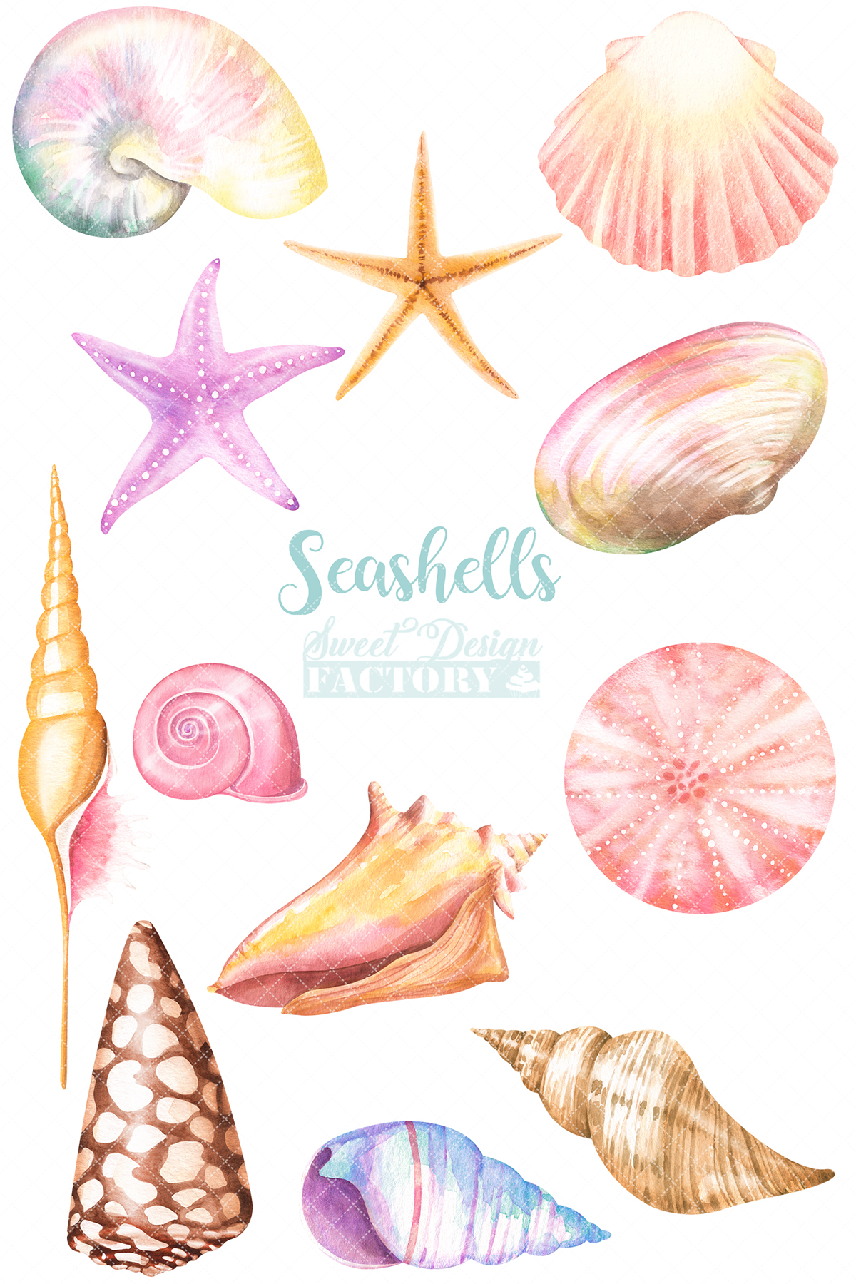 Watercolor seashells clipart (253505) | Illustrations | Design Bundles