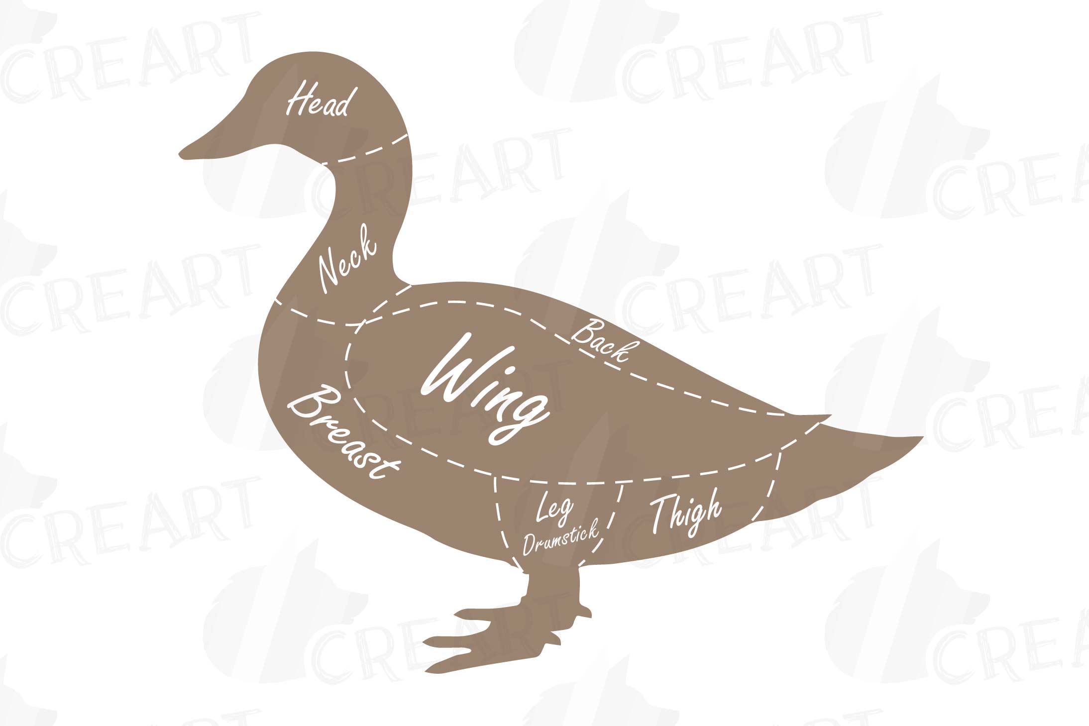 Butcher Duck Diagram Clip Art, Digital Duck Chart, Duck Cuts