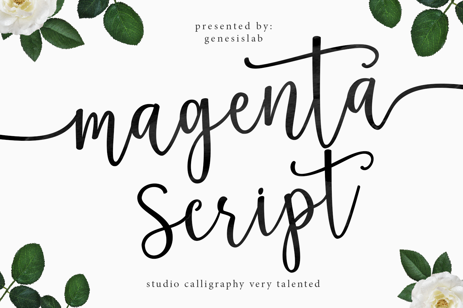 Magenta Script Font Bundles