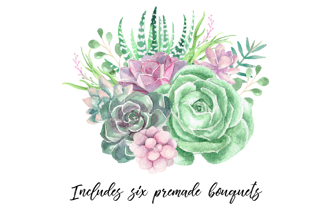Download Watercolor Succulents and Greenery