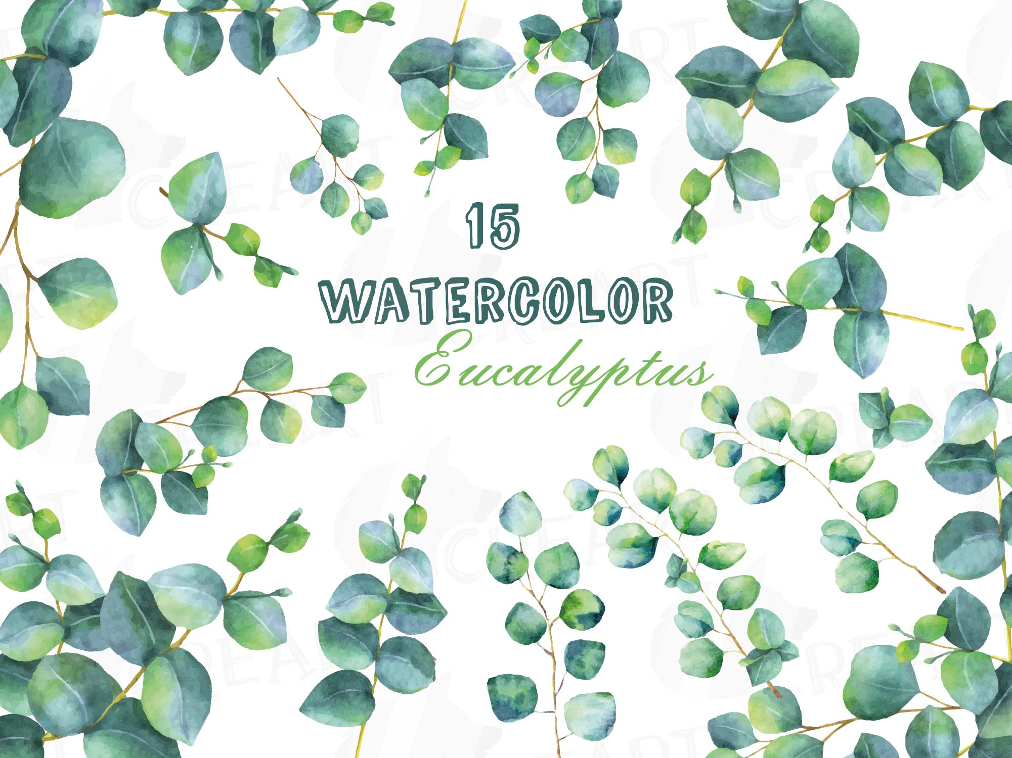 Eucalyptus leaves and branches watercolor clip art pack, Eucalyptus