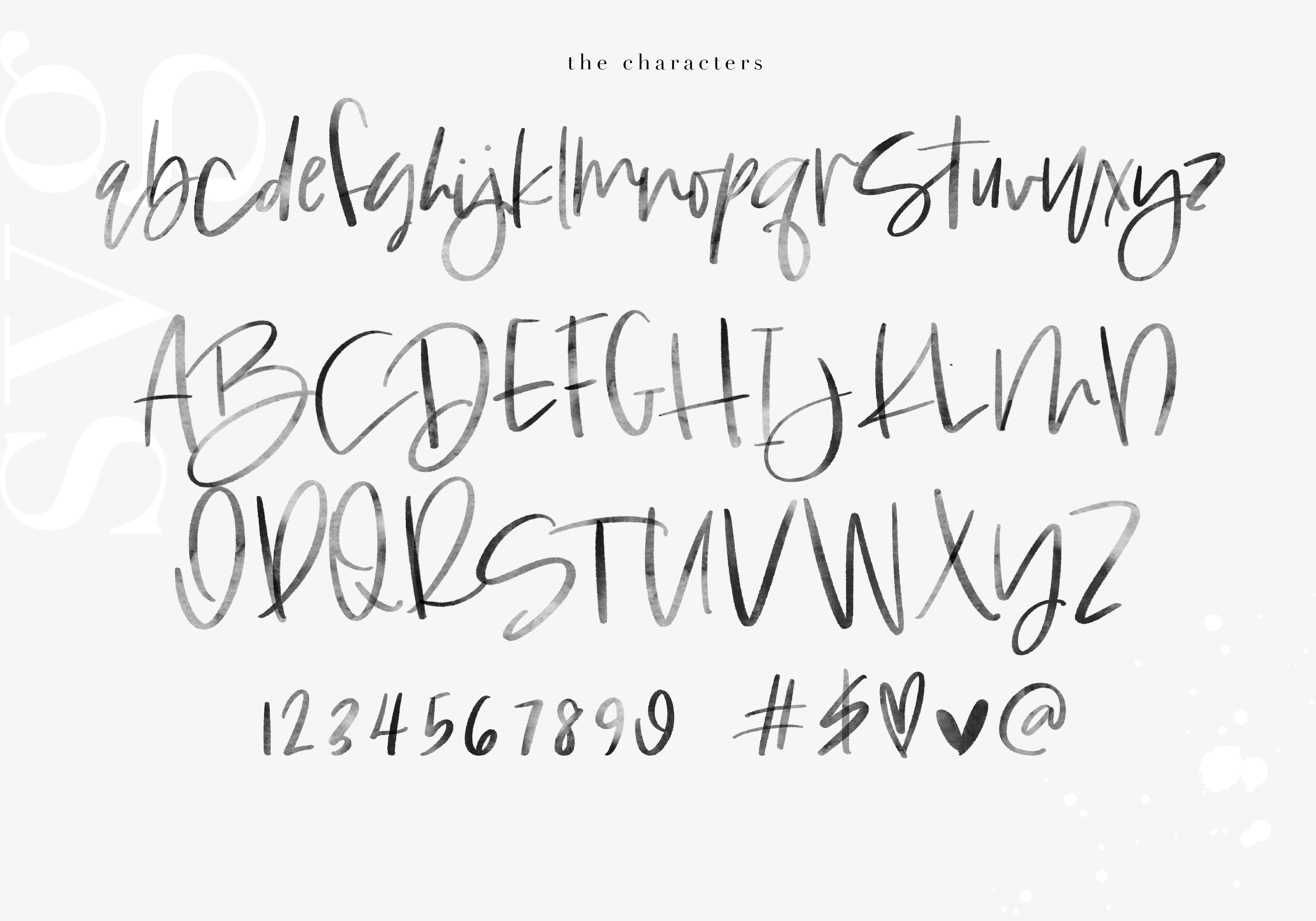 Download Washington - A Handwritten SVG Script Font (241970 ...