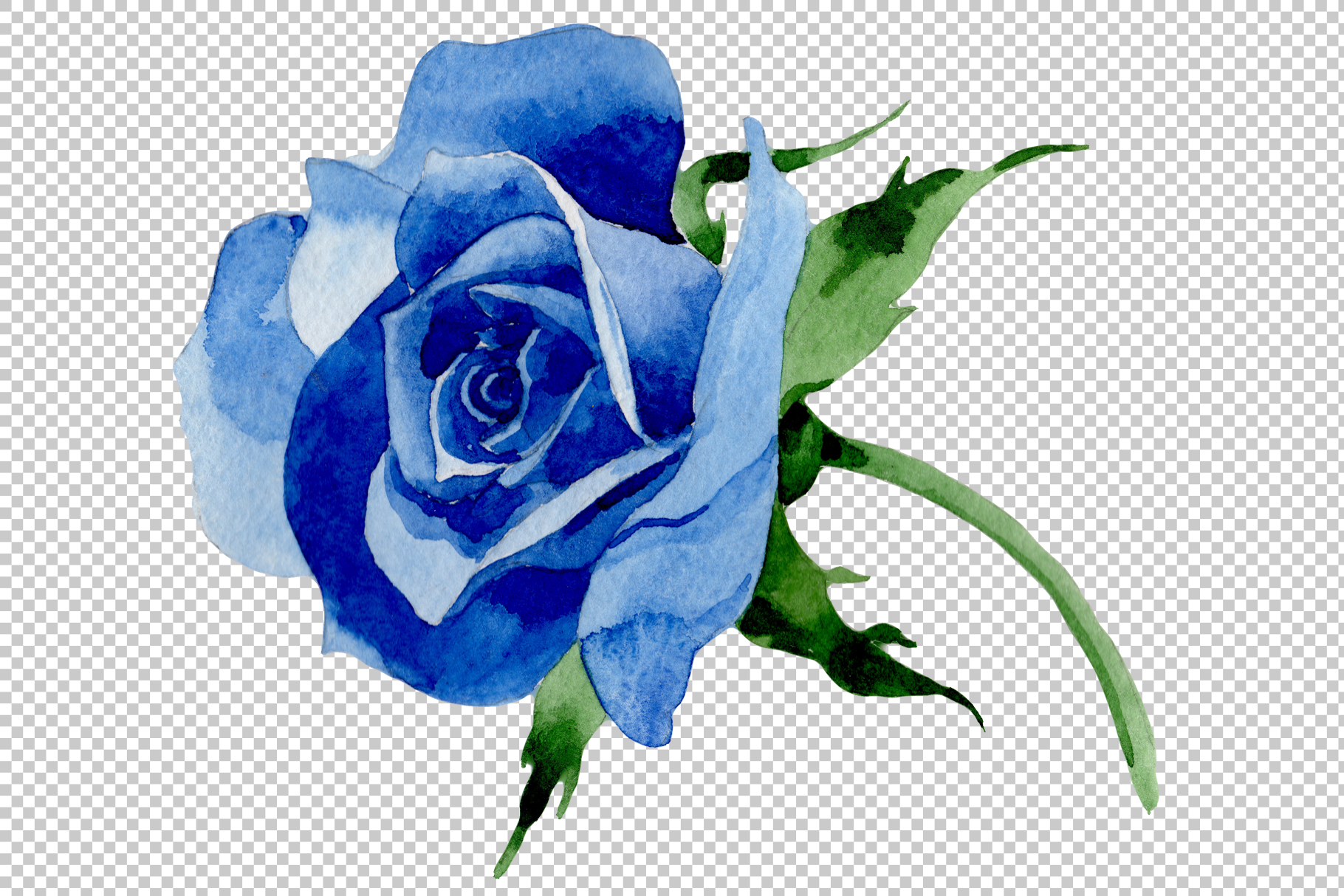 Wildflower blue rose  PNG watercolor  set