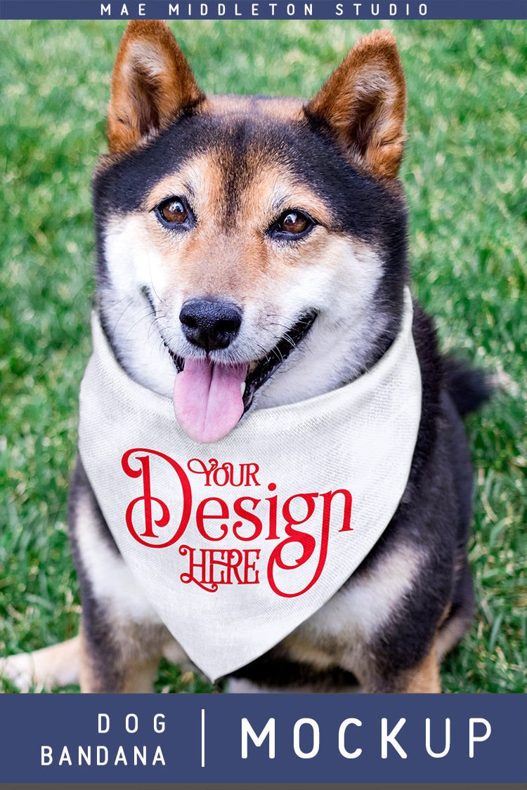 Download Dog Bandana Mock up, styled photo