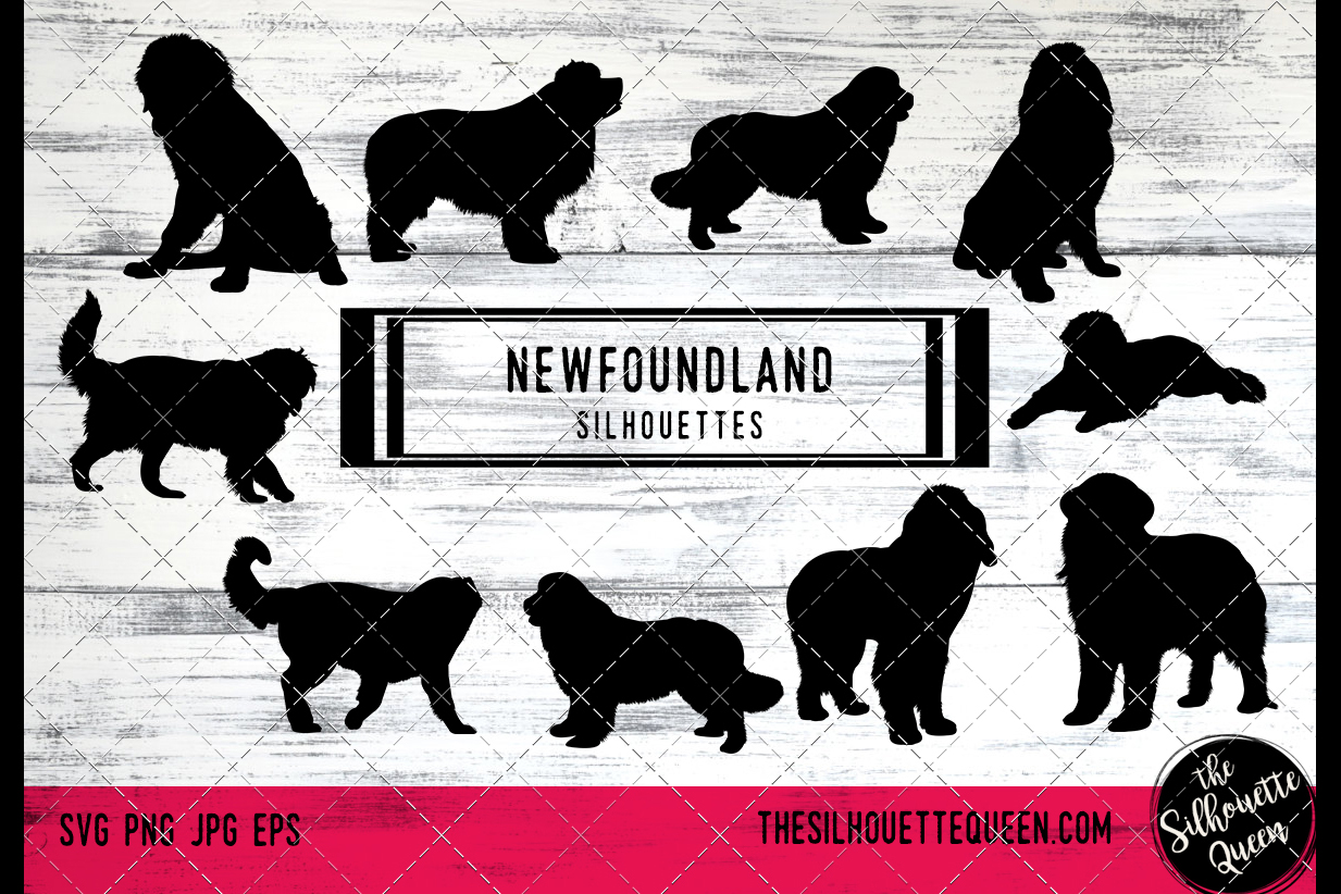 Newfoundland Dog svg files cricut, silhouette clip art, Vect