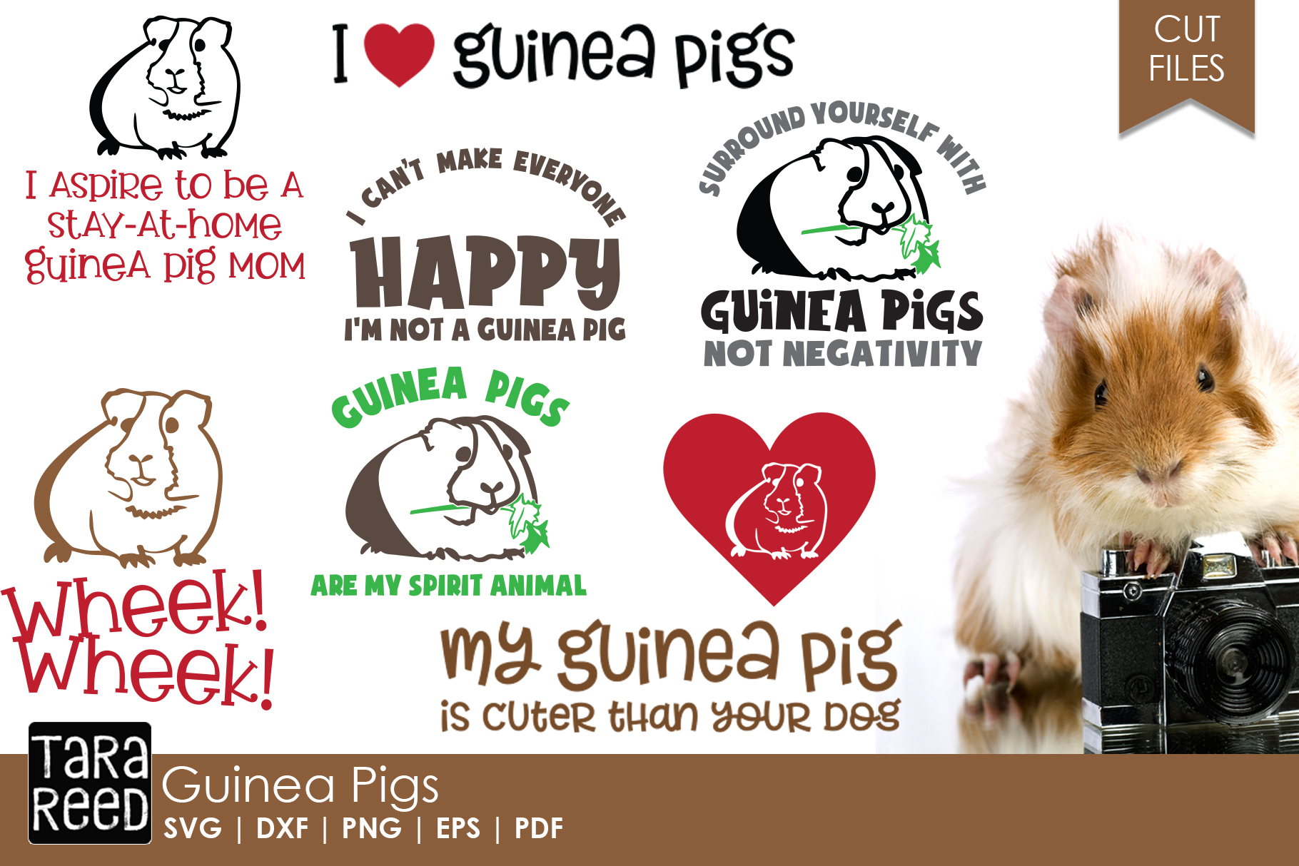 Download Guinea Pig SVG and Cut Files for Crafters