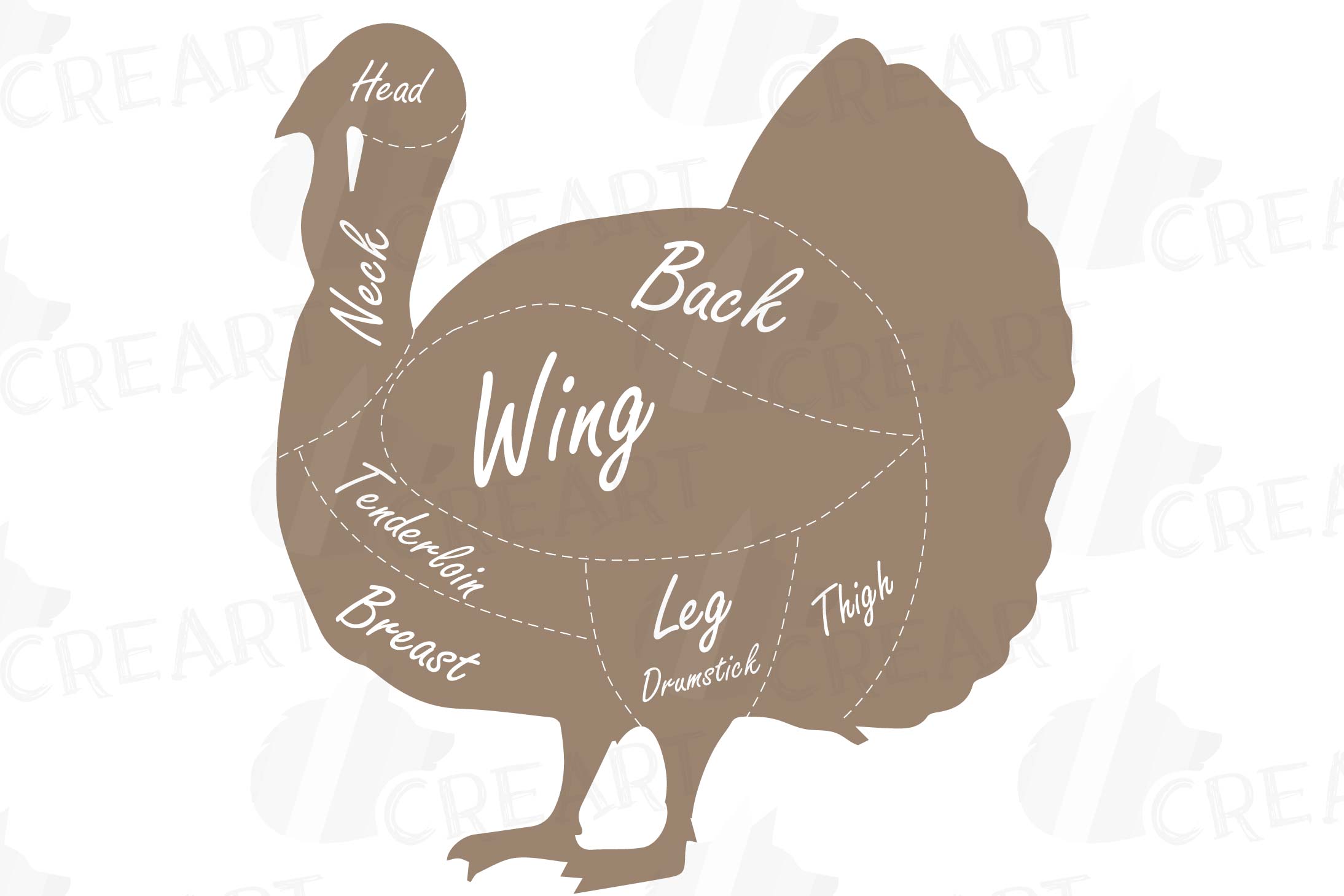 Diagram Of A Turkey