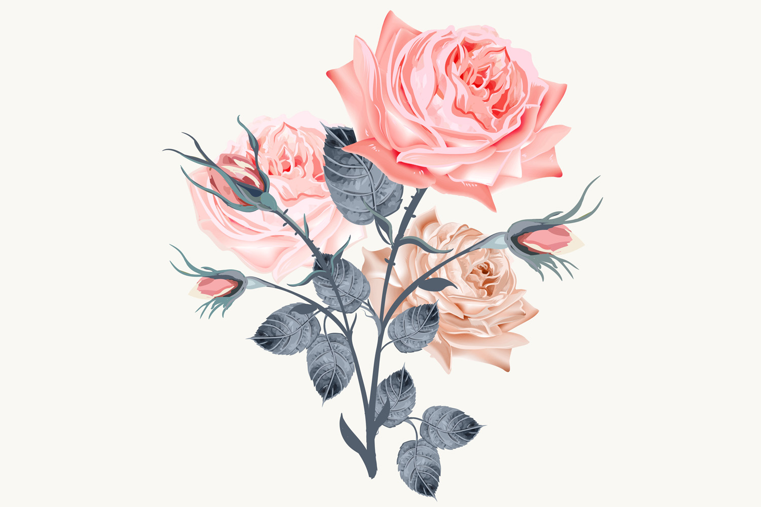 Vintage rose, high detailed vector rose illustration