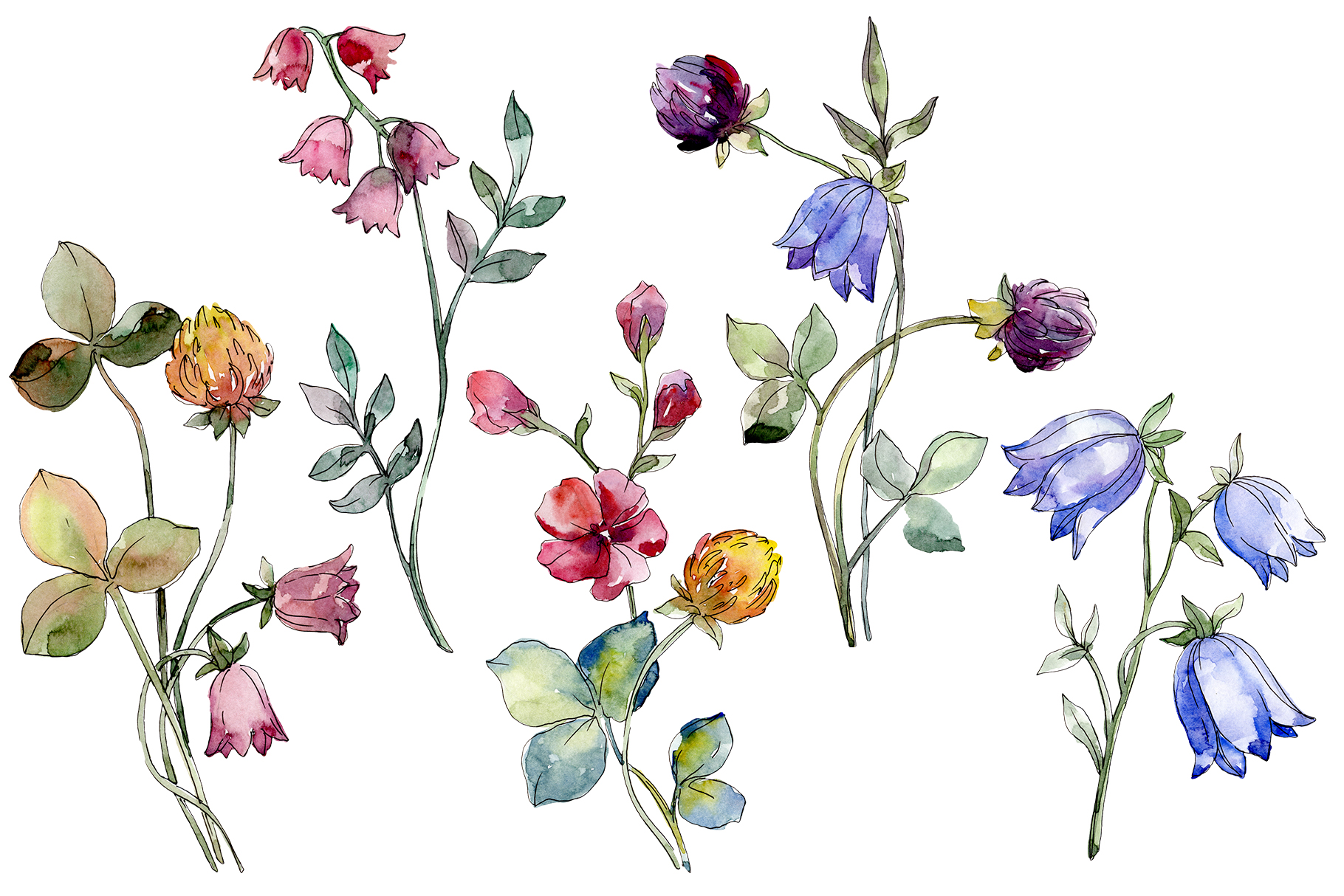 Wildflowers Watercolor png example image 1.