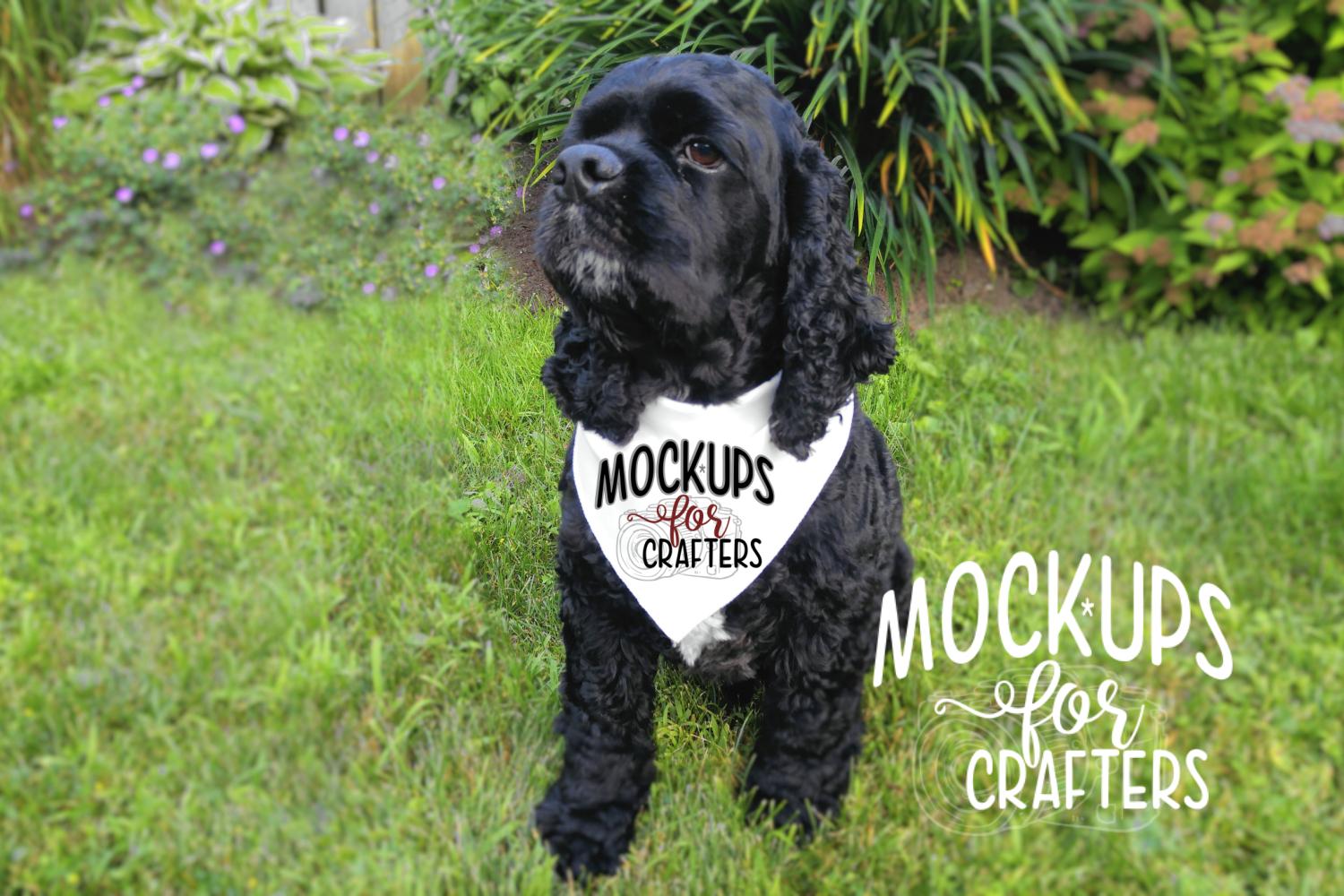 Download MOCK-UP - Pet Bandana, Dog Bandana, White