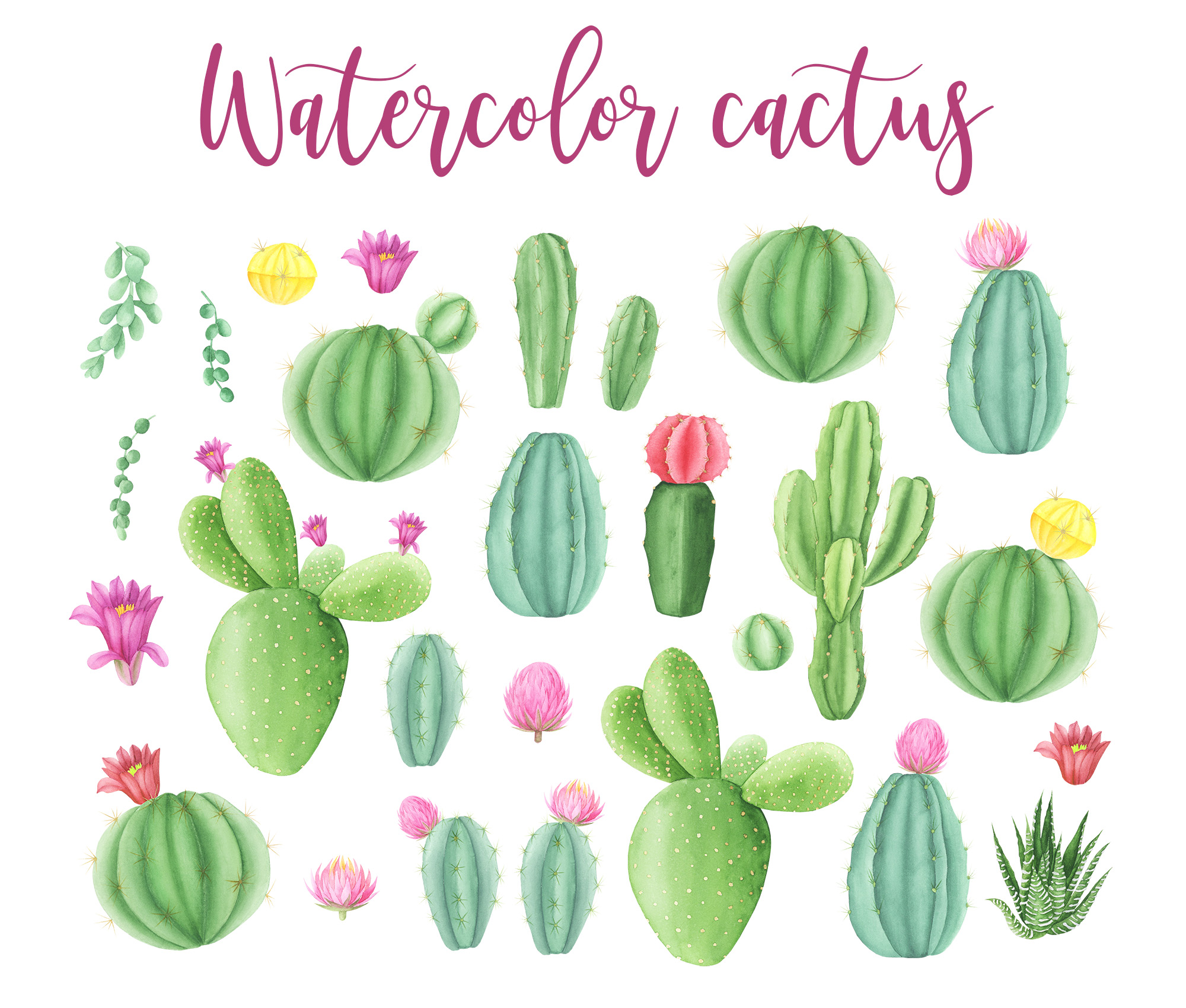 Watercolor cactus Clipart (269848) | Illustrations | Design Bundles