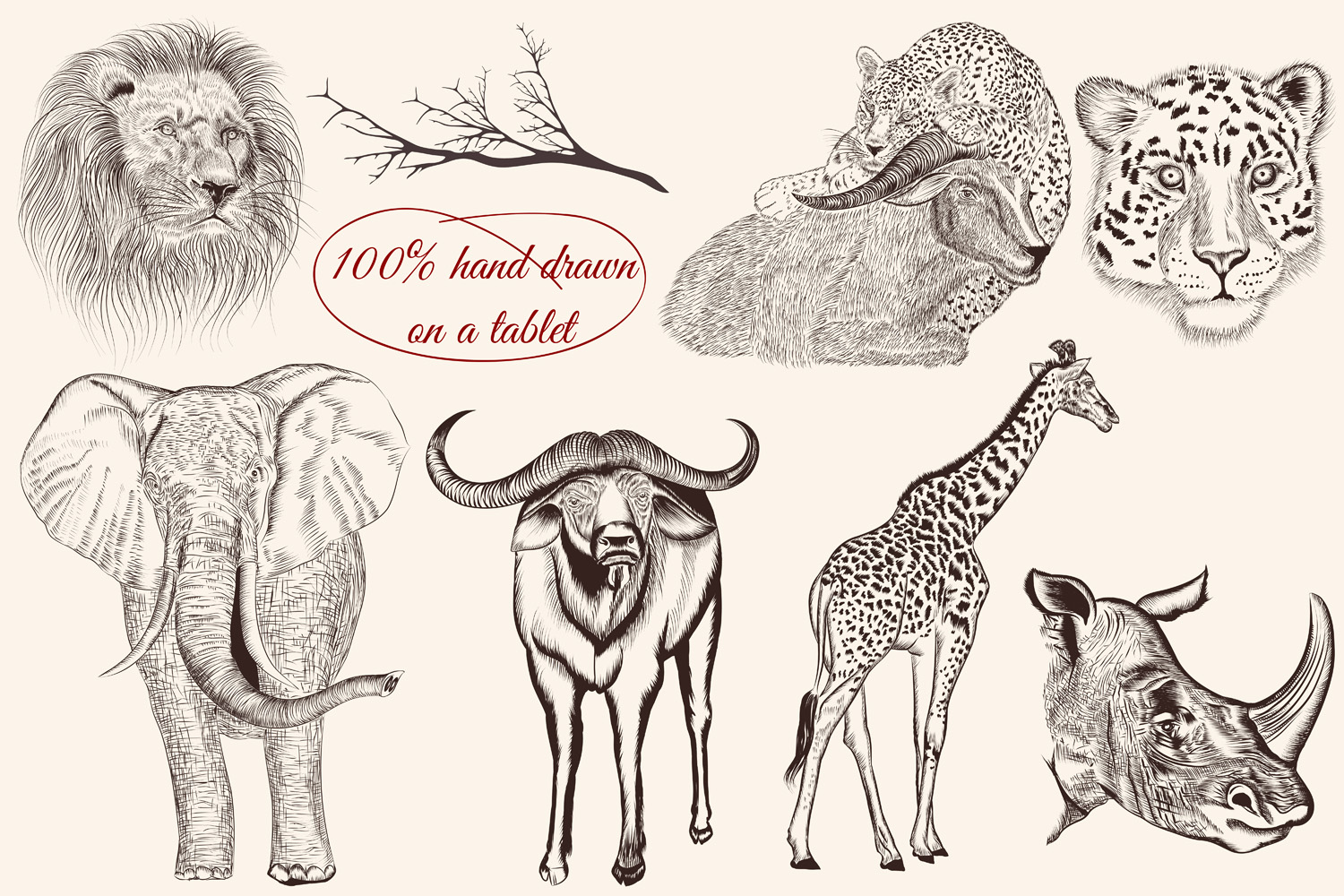 Download Bundle from vector engraved animals (96965 ...