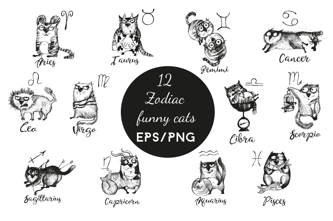 Zodiac funny cats
