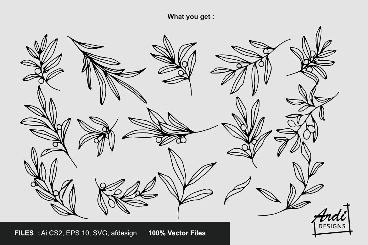 Hand drawn Olive Branch (304000) | Illustrations | Design Bundles