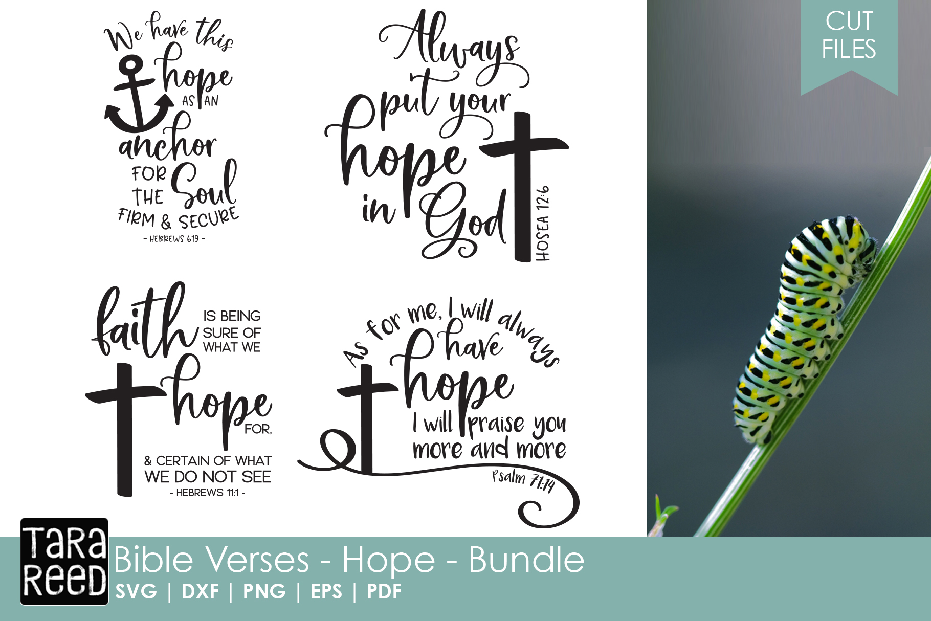 bible-verses-about-hope-bundle-86658-cut-files-design-bundles