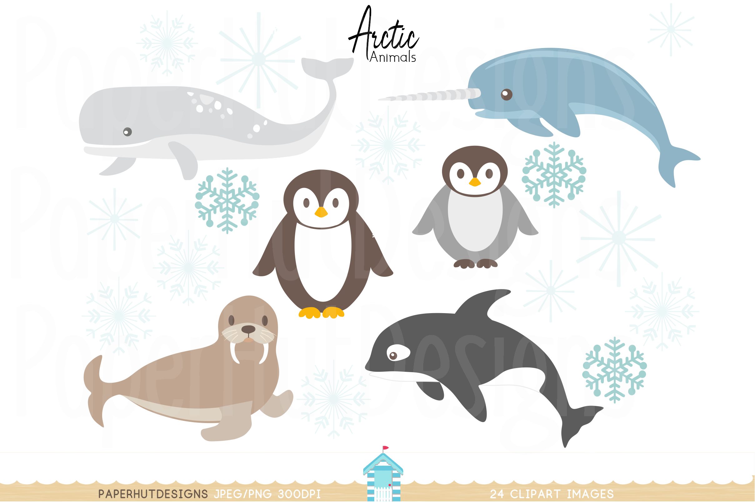 Arctic Animals Clipart (156260) | Characters | Design Bundles