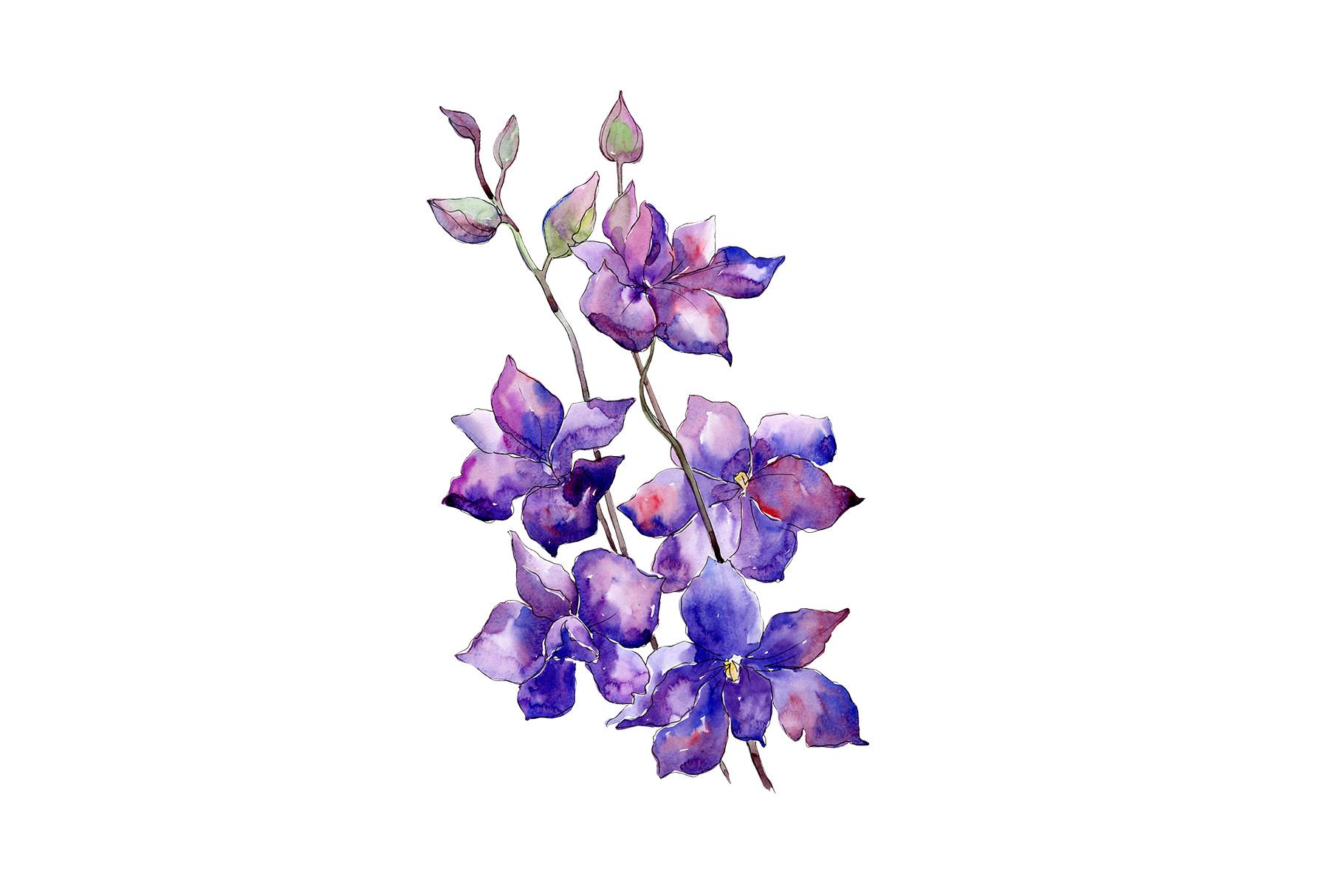Bouquet Of Purple Flowers Png Watercolor Set 146431 Illustrations Design Bundles