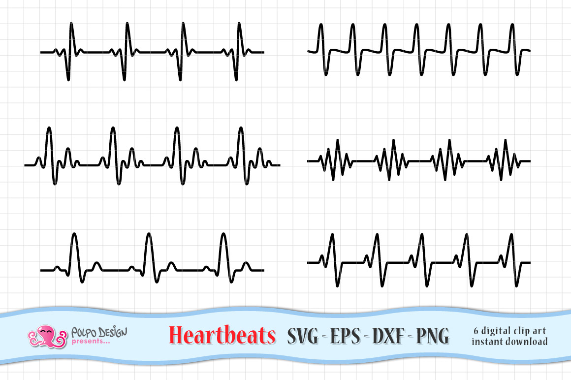 regular heartbeat