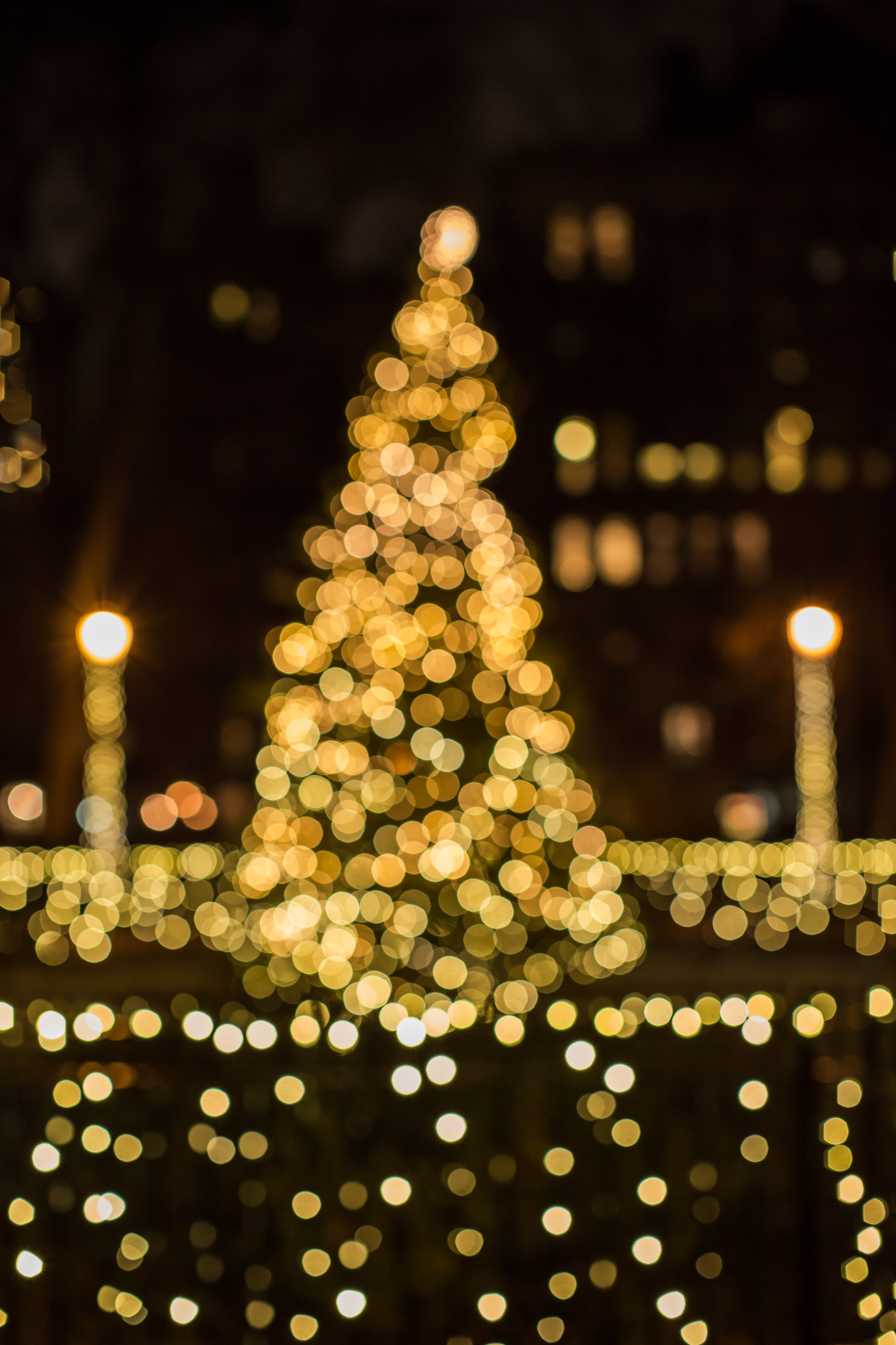 blurred christmas tree lights