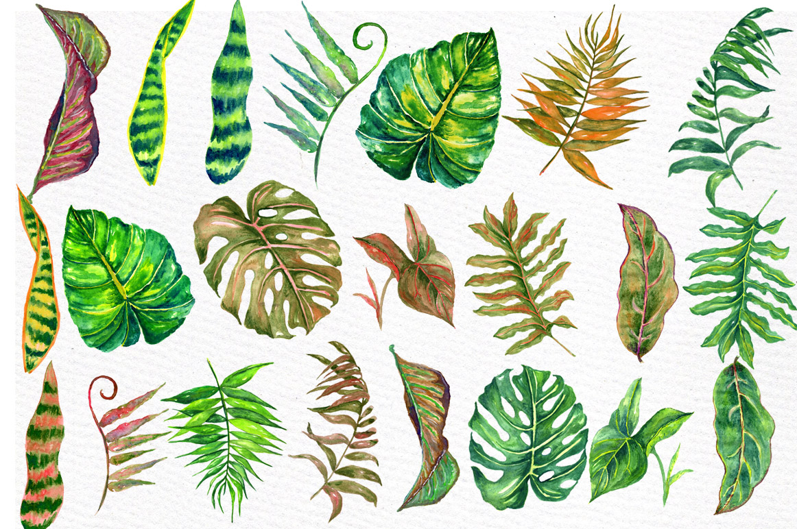 Download Tropical watercolor leaves