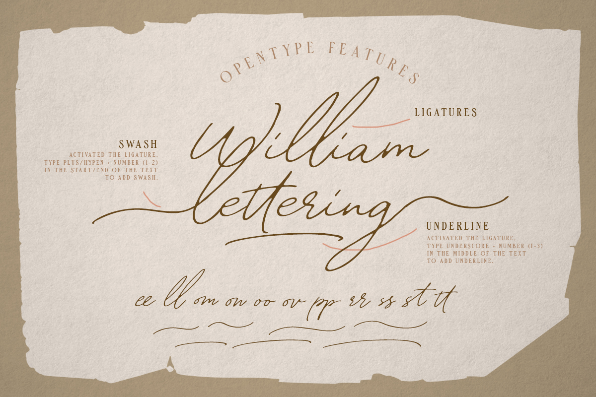 William Letter Signature Script (372480) | Script | Font Bundles