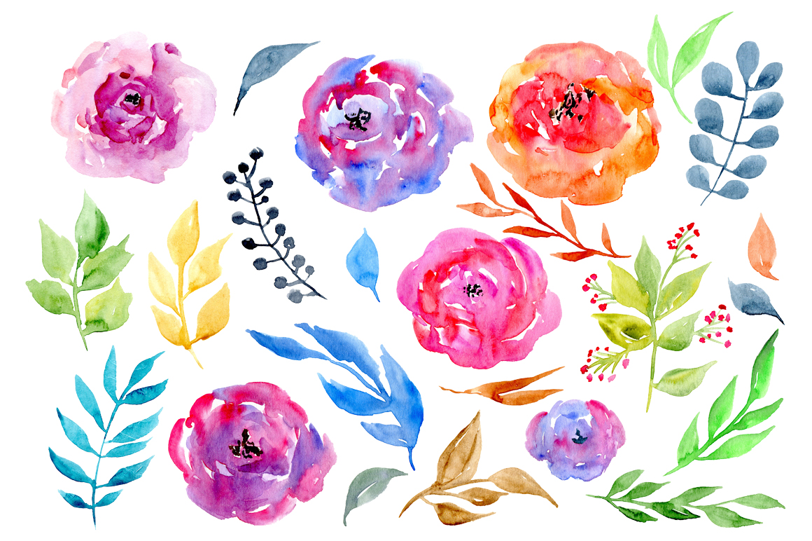 Watercolor flowers, 24 png clipart (21512) | Illustrations | Design Bundles